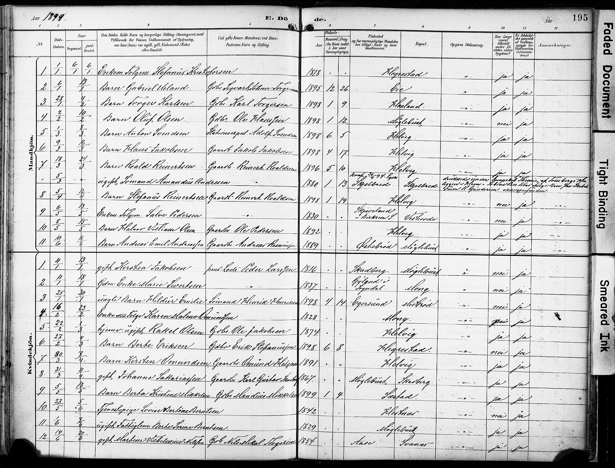 Eigersund sokneprestkontor, SAST/A-101807/S08/L0018: Parish register (official) no. A 17, 1892-1905, p. 195
