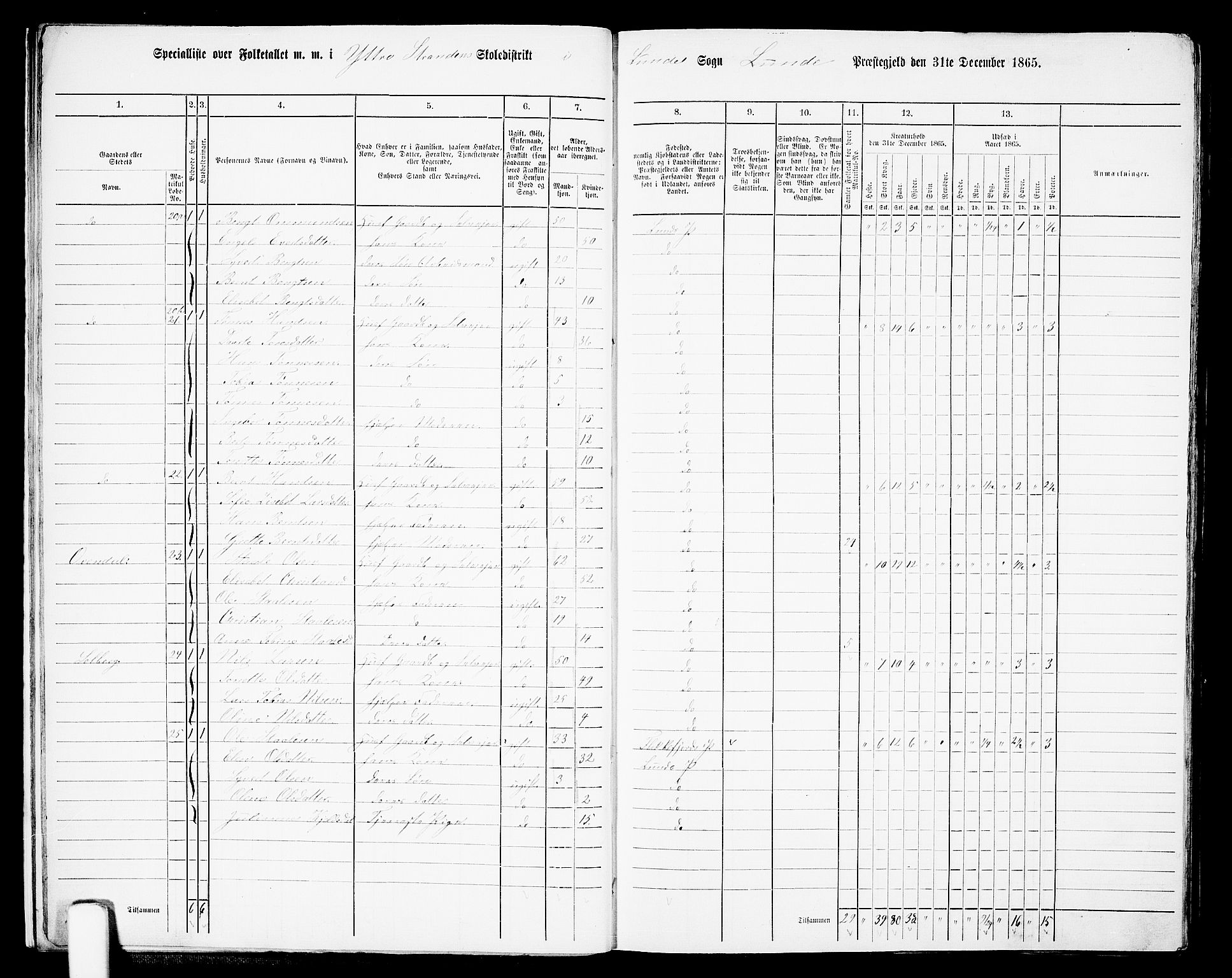 RA, 1865 census for Lund, 1865, p. 17