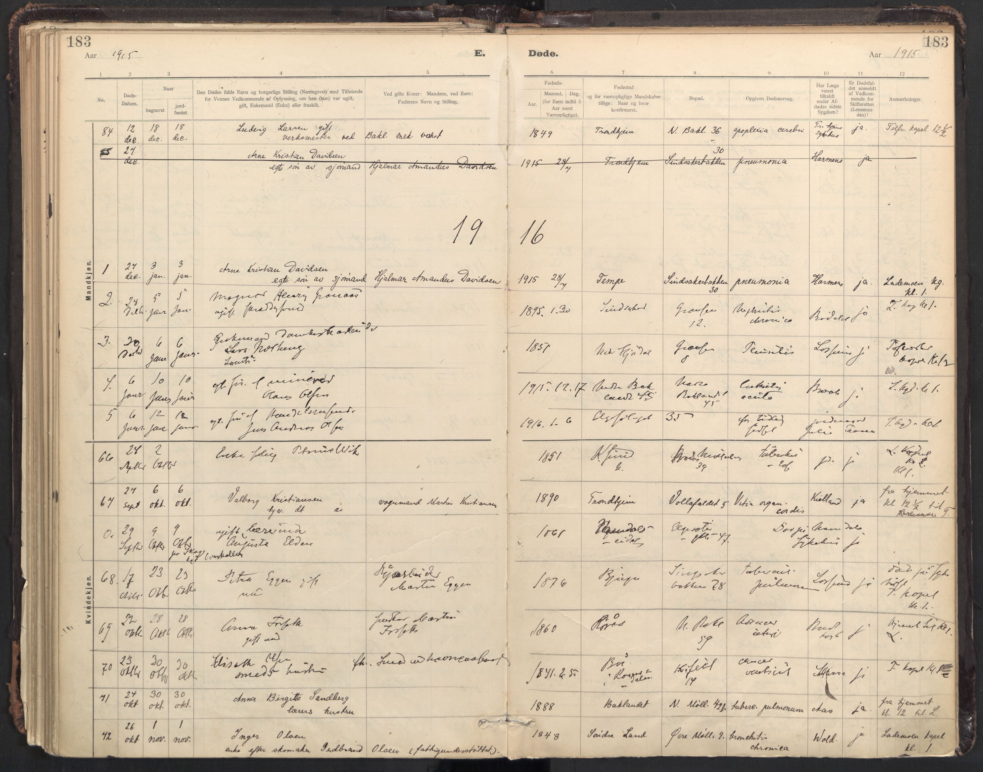 Ministerialprotokoller, klokkerbøker og fødselsregistre - Sør-Trøndelag, SAT/A-1456/604/L0204: Parish register (official) no. 604A24, 1911-1920, p. 183