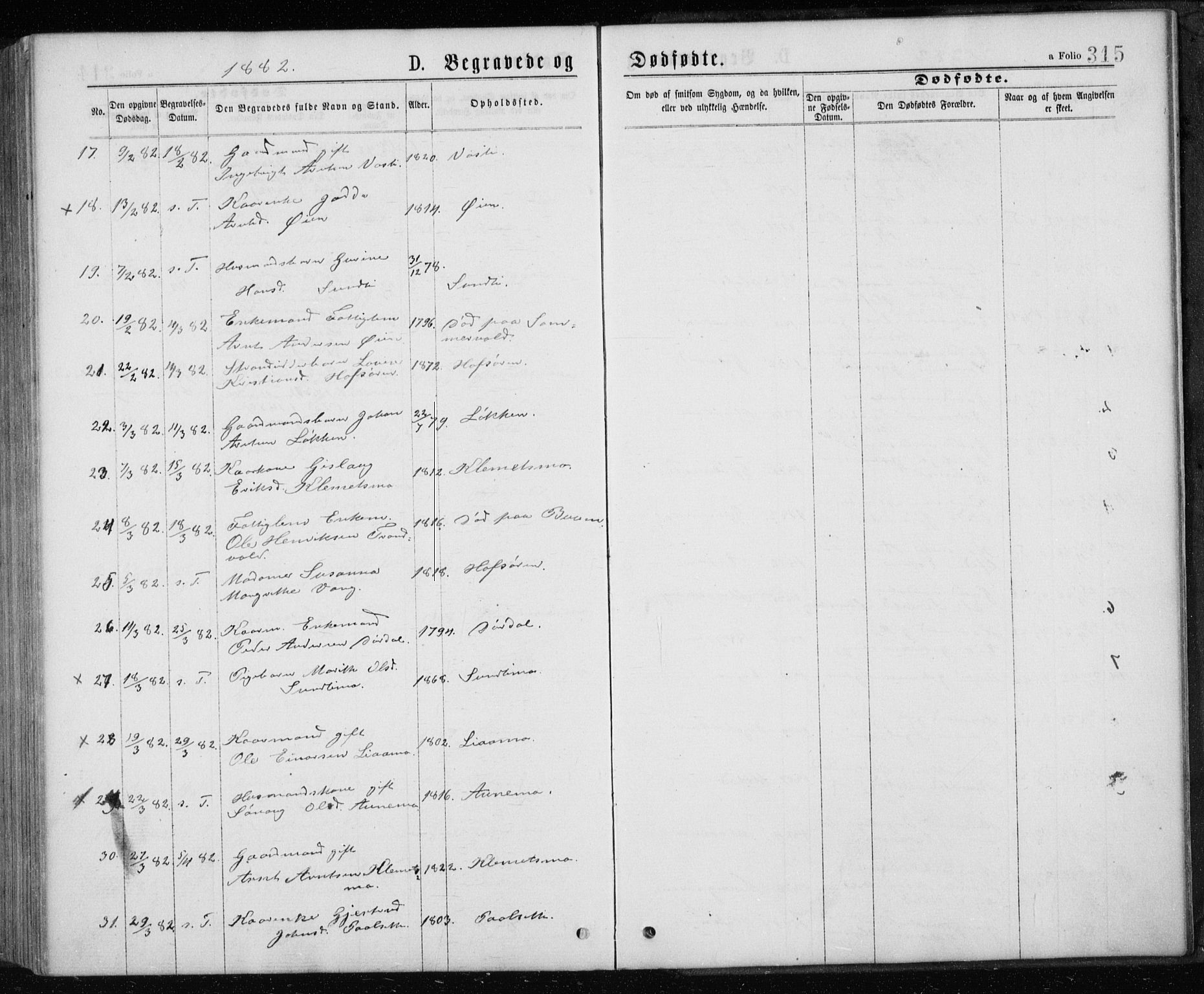 Ministerialprotokoller, klokkerbøker og fødselsregistre - Sør-Trøndelag, SAT/A-1456/668/L0817: Parish register (copy) no. 668C06, 1873-1884, p. 315