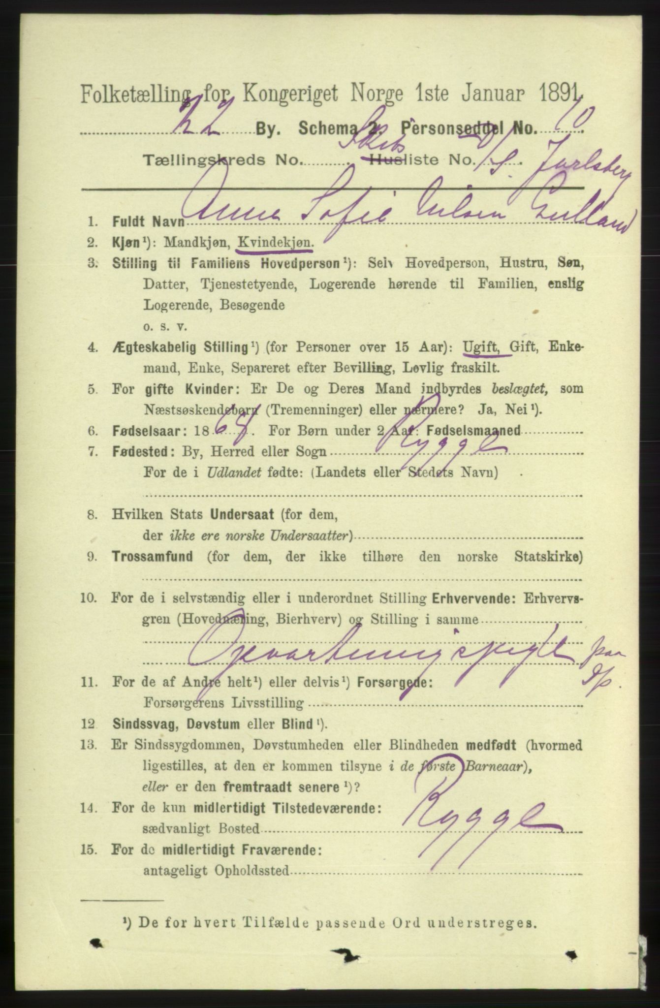 RA, 1891 census for 0705 Tønsberg, 1891, p. 8833