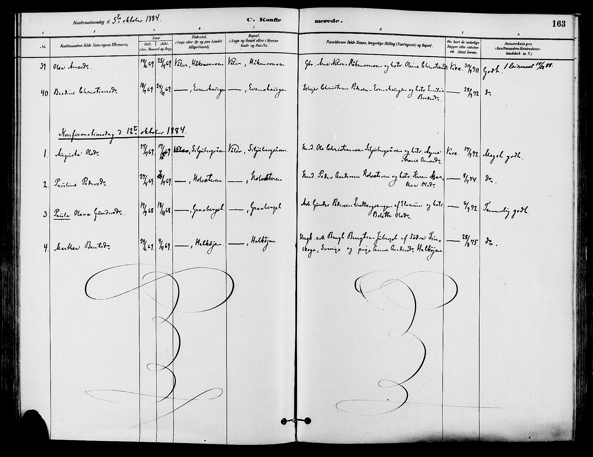 Våler prestekontor, Hedmark, AV/SAH-PREST-040/H/Ha/Haa/L0002: Parish register (official) no. 3, 1879-1911, p. 163