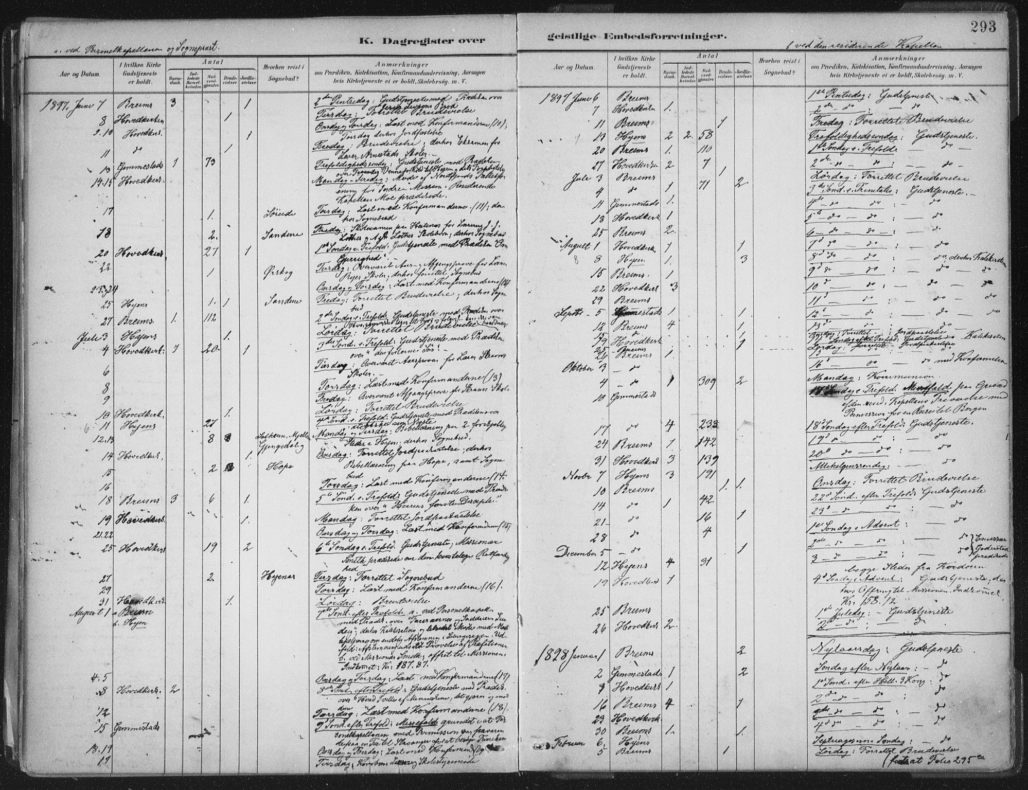 Gloppen sokneprestembete, AV/SAB-A-80101/H/Haa/Haab/L0001: Parish register (official) no. B  1, 1885-1905, p. 293