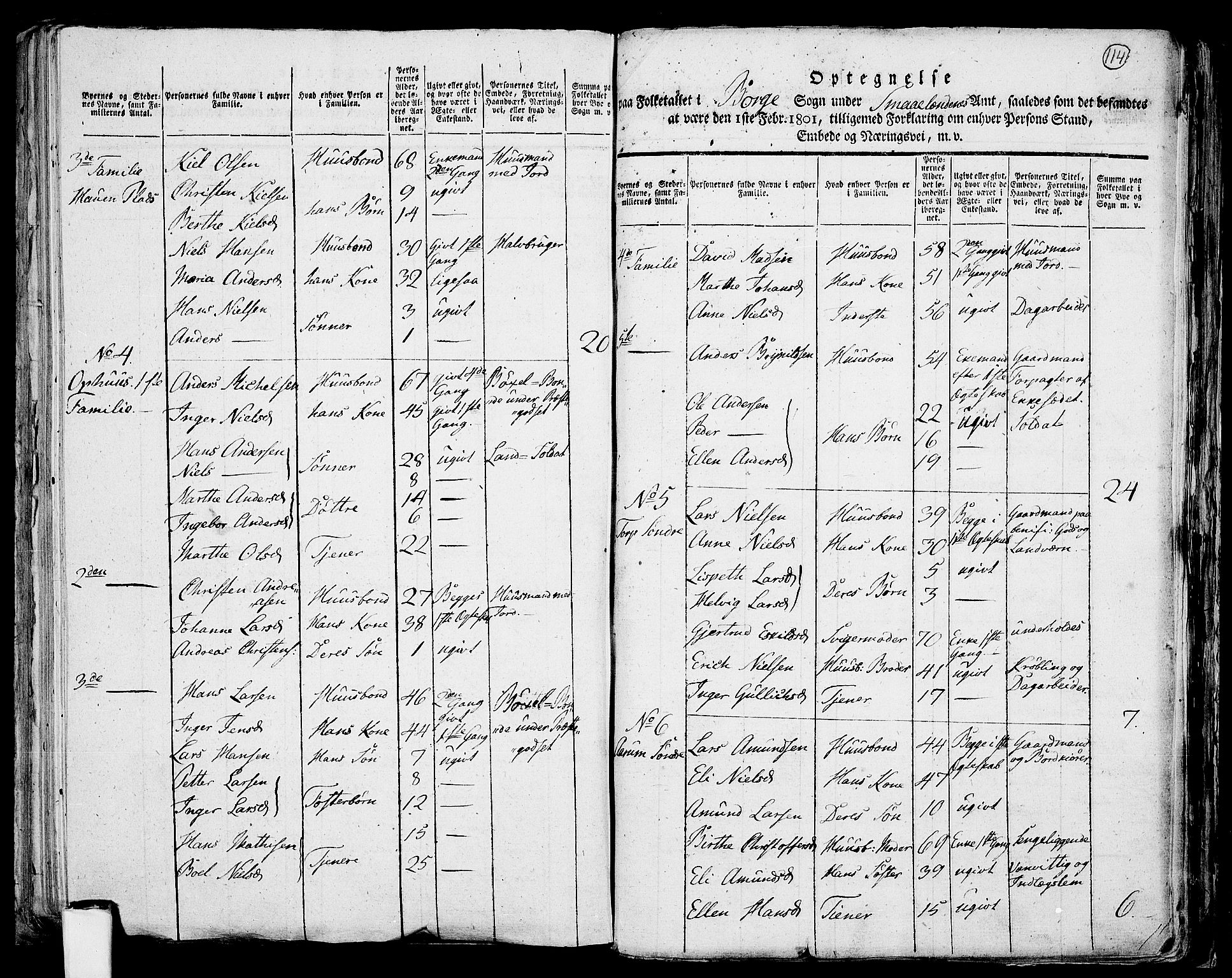 RA, 1801 census for 0113P Borge, 1801, p. 113b-114a