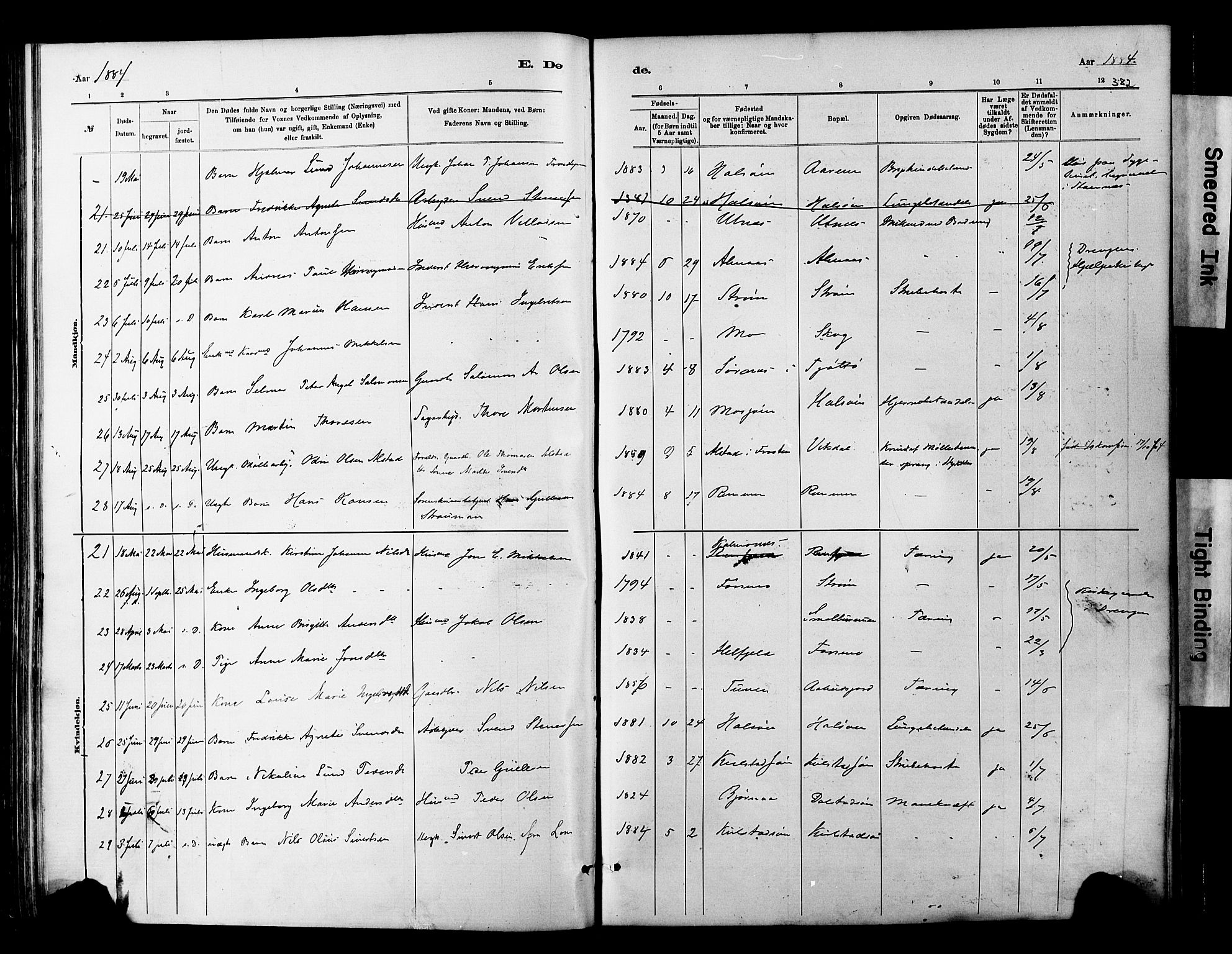 Ministerialprotokoller, klokkerbøker og fødselsregistre - Nordland, AV/SAT-A-1459/820/L0295: Parish register (official) no. 820A16, 1880-1896, p. 382