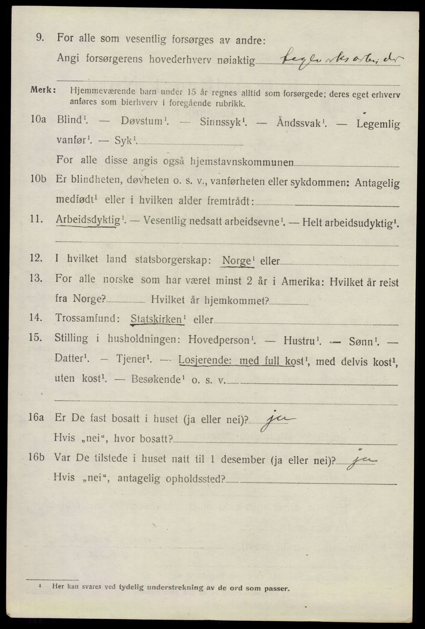 SAO, 1920 census for Nes, 1920, p. 16157