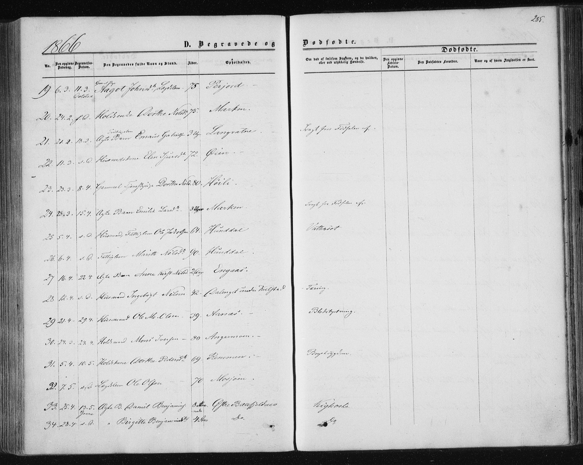 Ministerialprotokoller, klokkerbøker og fødselsregistre - Nordland, SAT/A-1459/820/L0294: Parish register (official) no. 820A15, 1866-1879, p. 285