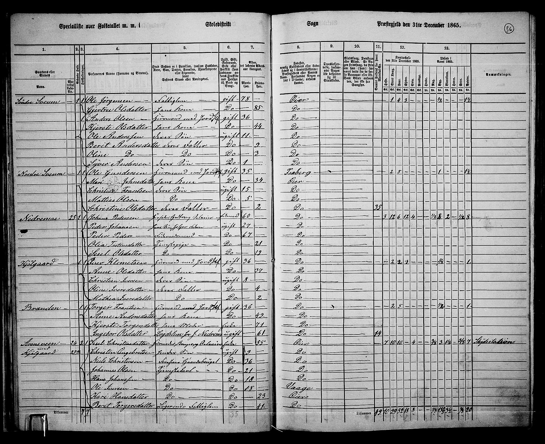 RA, 1865 census for Øyer, 1865, p. 33