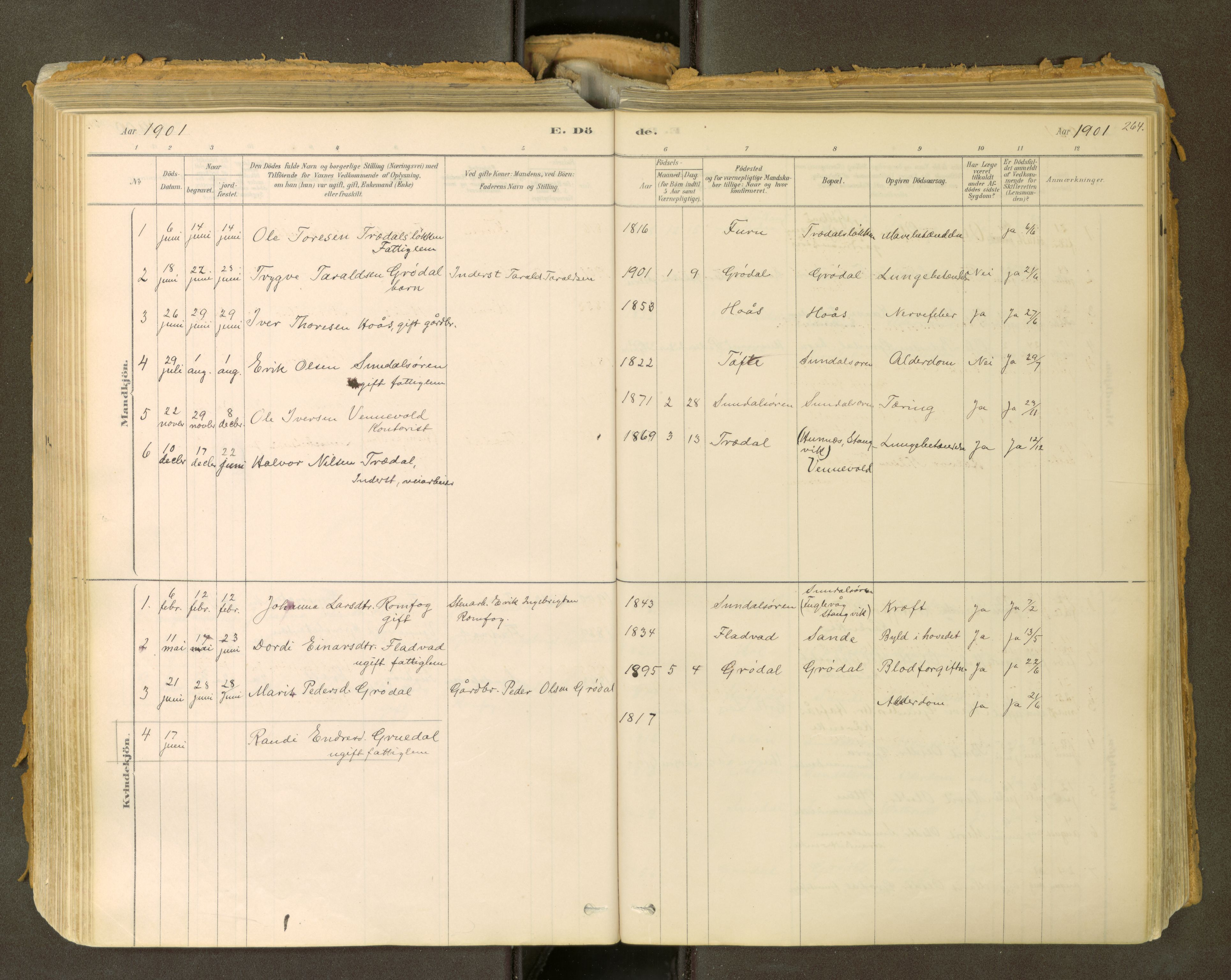 Sunndal sokneprestkontor, SAT/A-1085/1/I/I1/I1a: Parish register (official) no. 2, 1877-1914, p. 264