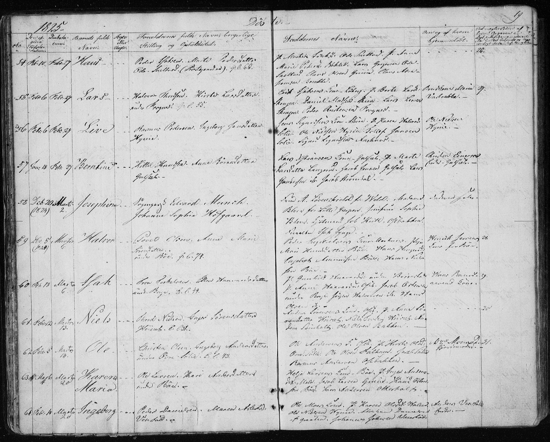 Gjerpen kirkebøker, AV/SAKO-A-265/F/Fa/L0005: Parish register (official) no. I 5, 1823-1829, p. 19