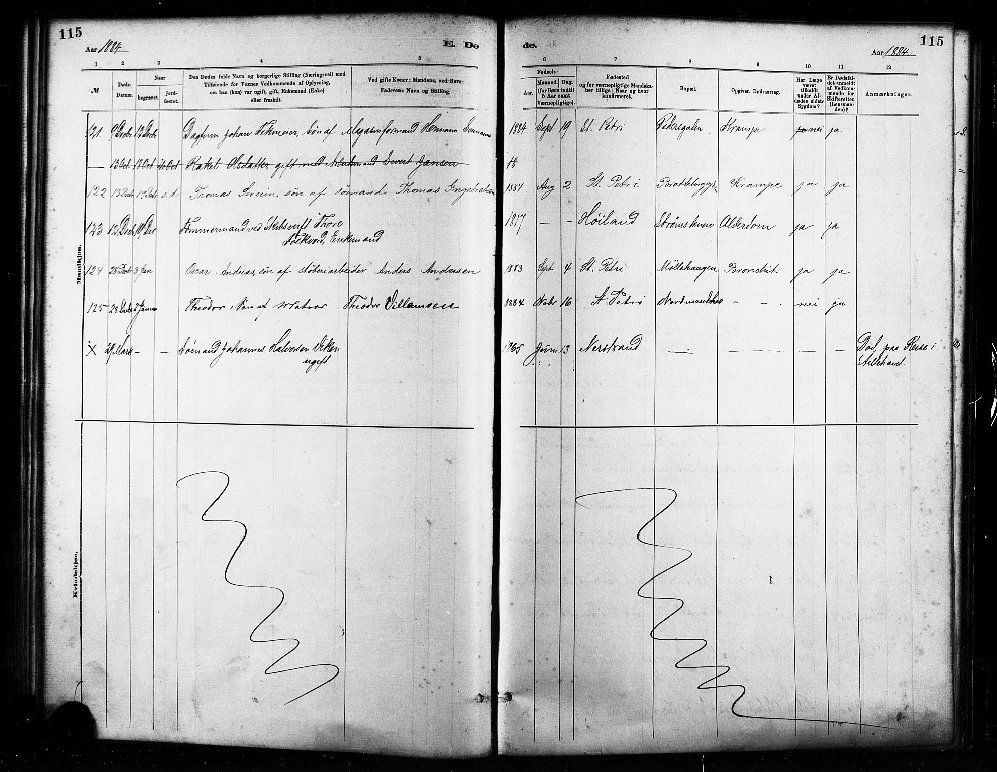 St. Petri sokneprestkontor, AV/SAST-A-101813/001/30/30BA/L0017: Parish register (official) no. A 17, 1879-1895, p. 115