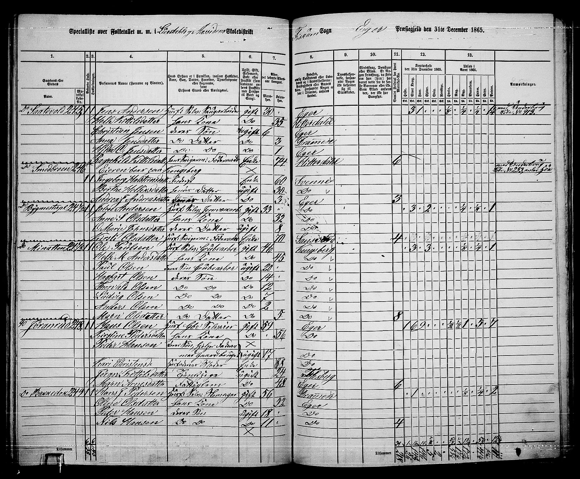 RA, 1865 census for Eiker, 1865, p. 503