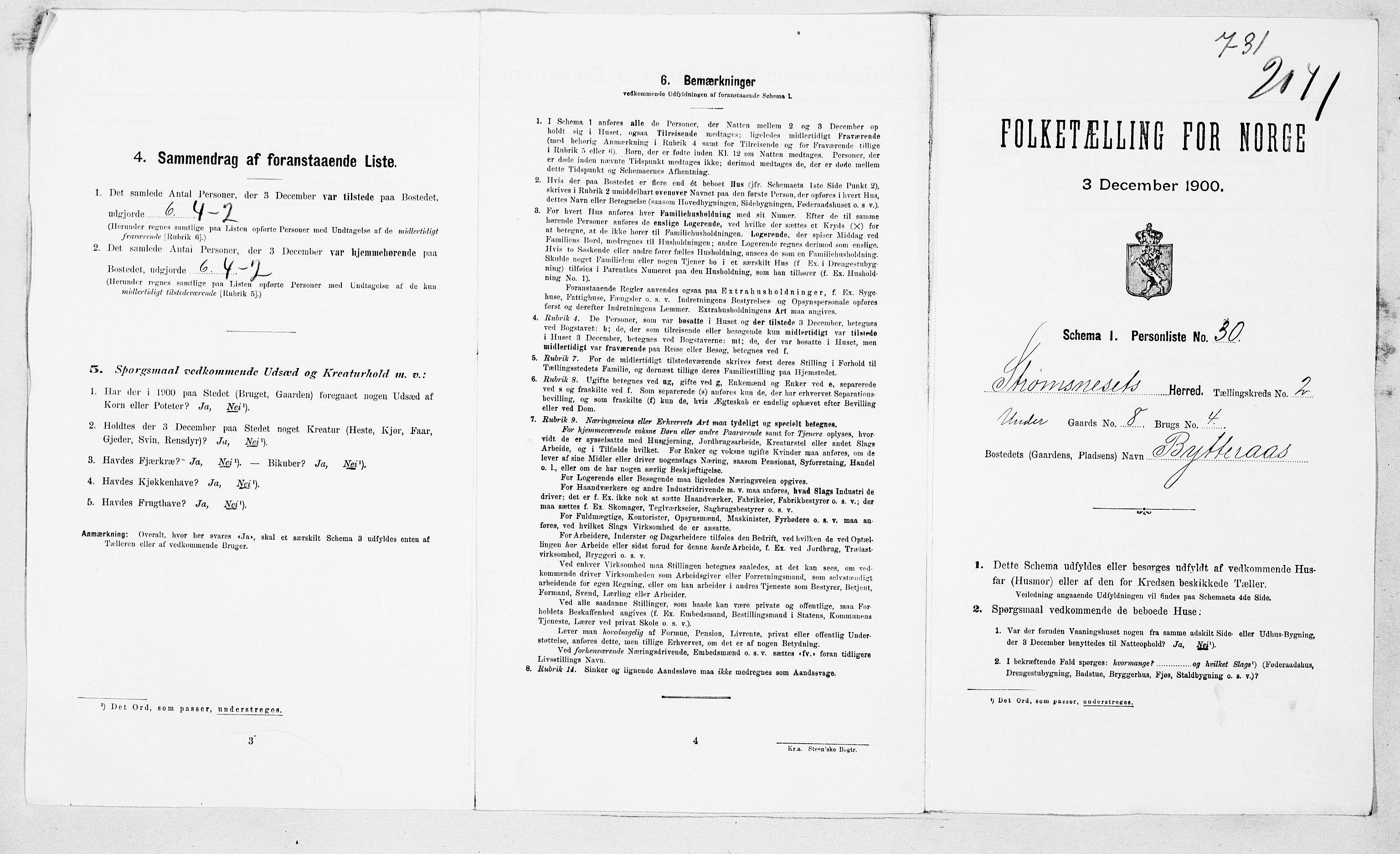 SAT, 1900 census for Straumsnes, 1900, p. 20