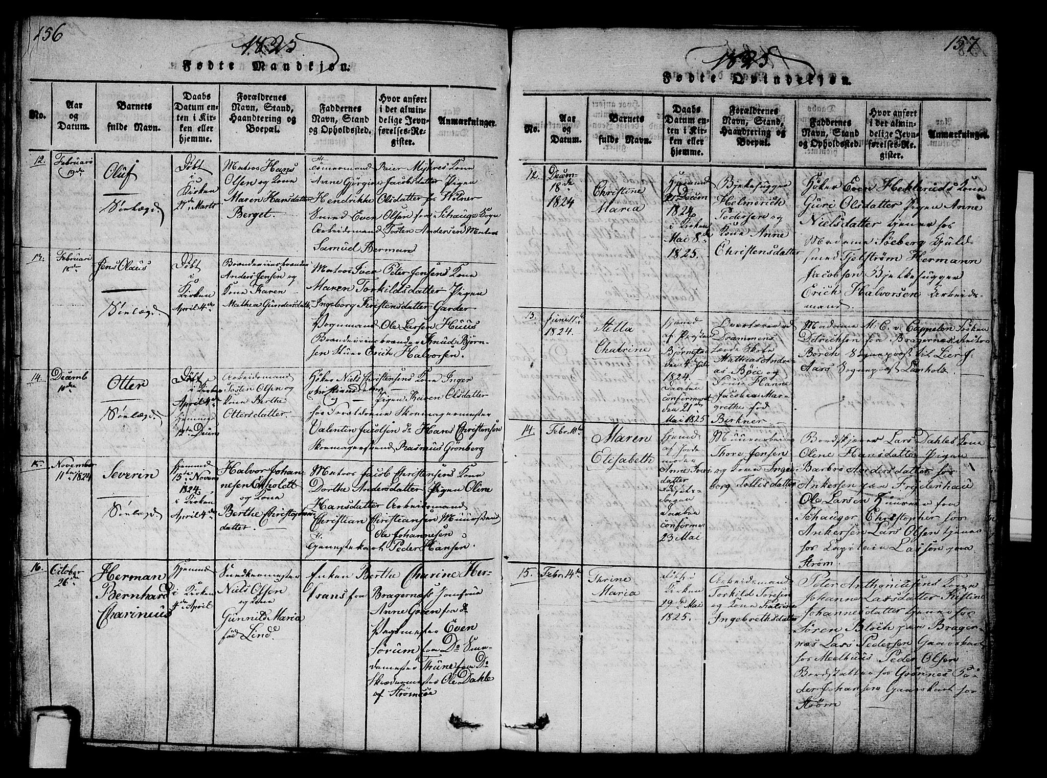 Strømsø kirkebøker, AV/SAKO-A-246/G/Ga/L0001: Parish register (copy) no. 1, 1815-1829, p. 156-157