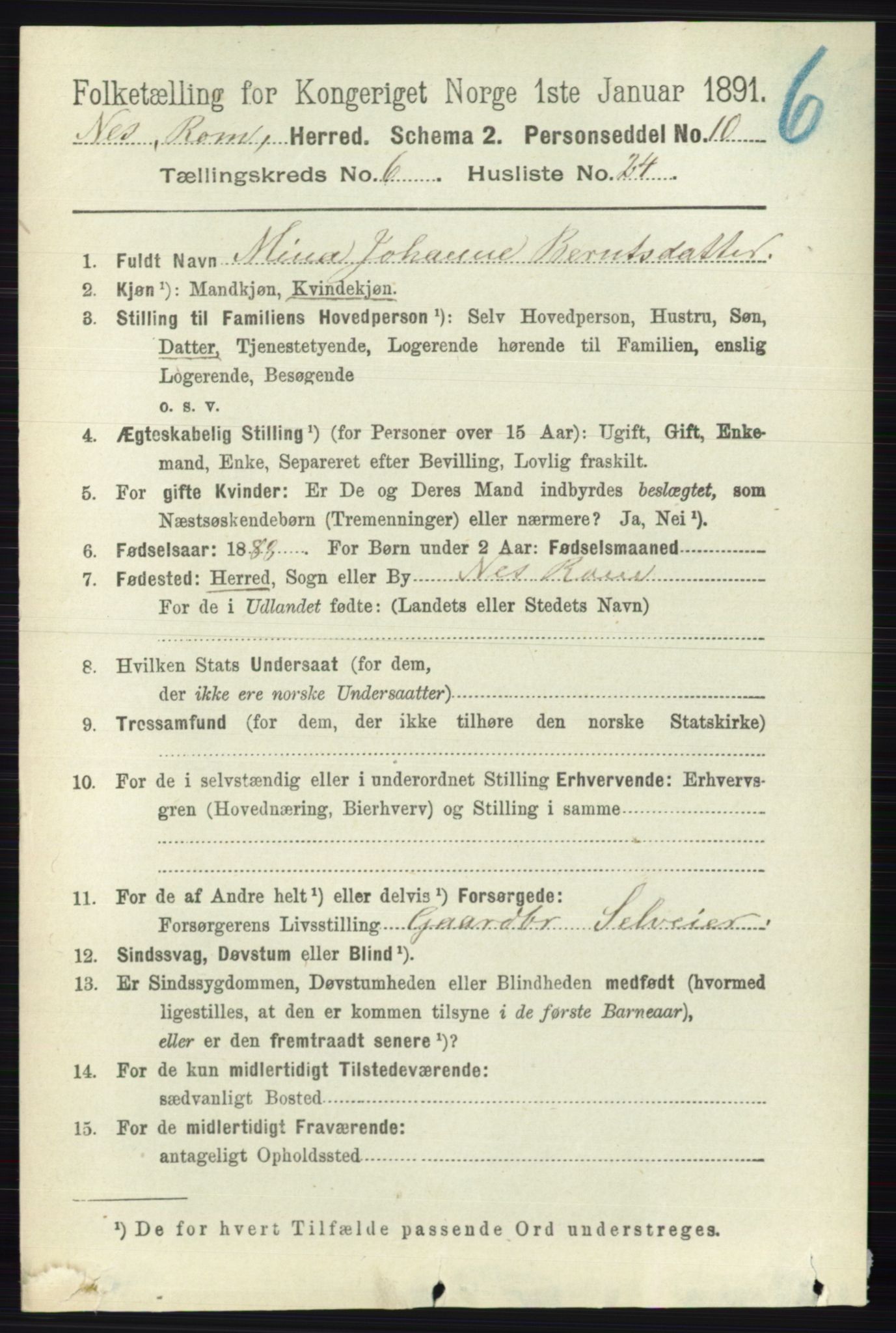 RA, 1891 census for 0236 Nes, 1891, p. 3527