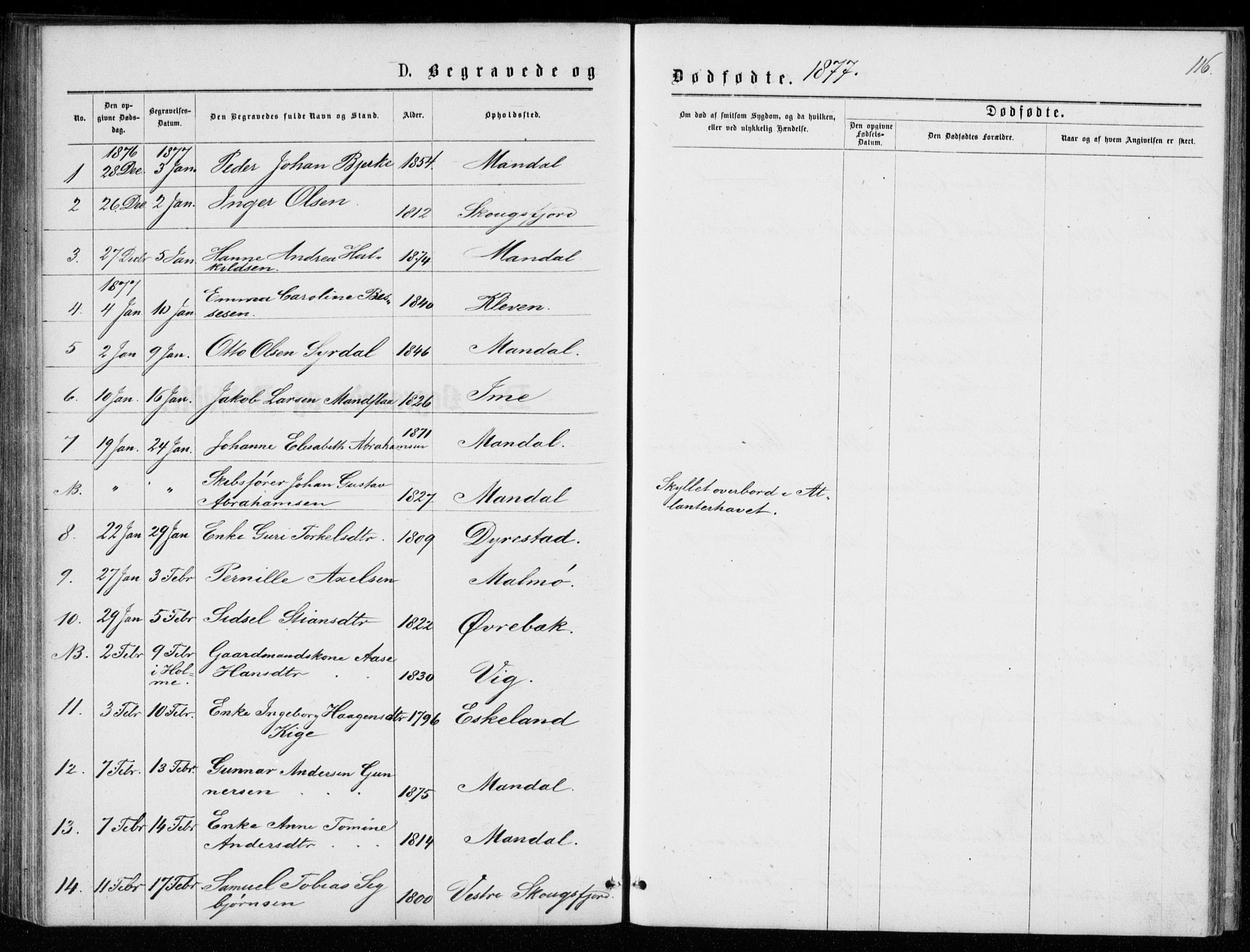 Mandal sokneprestkontor, SAK/1111-0030/F/Fb/Fba/L0010: Parish register (copy) no. B 4, 1876-1880, p. 116