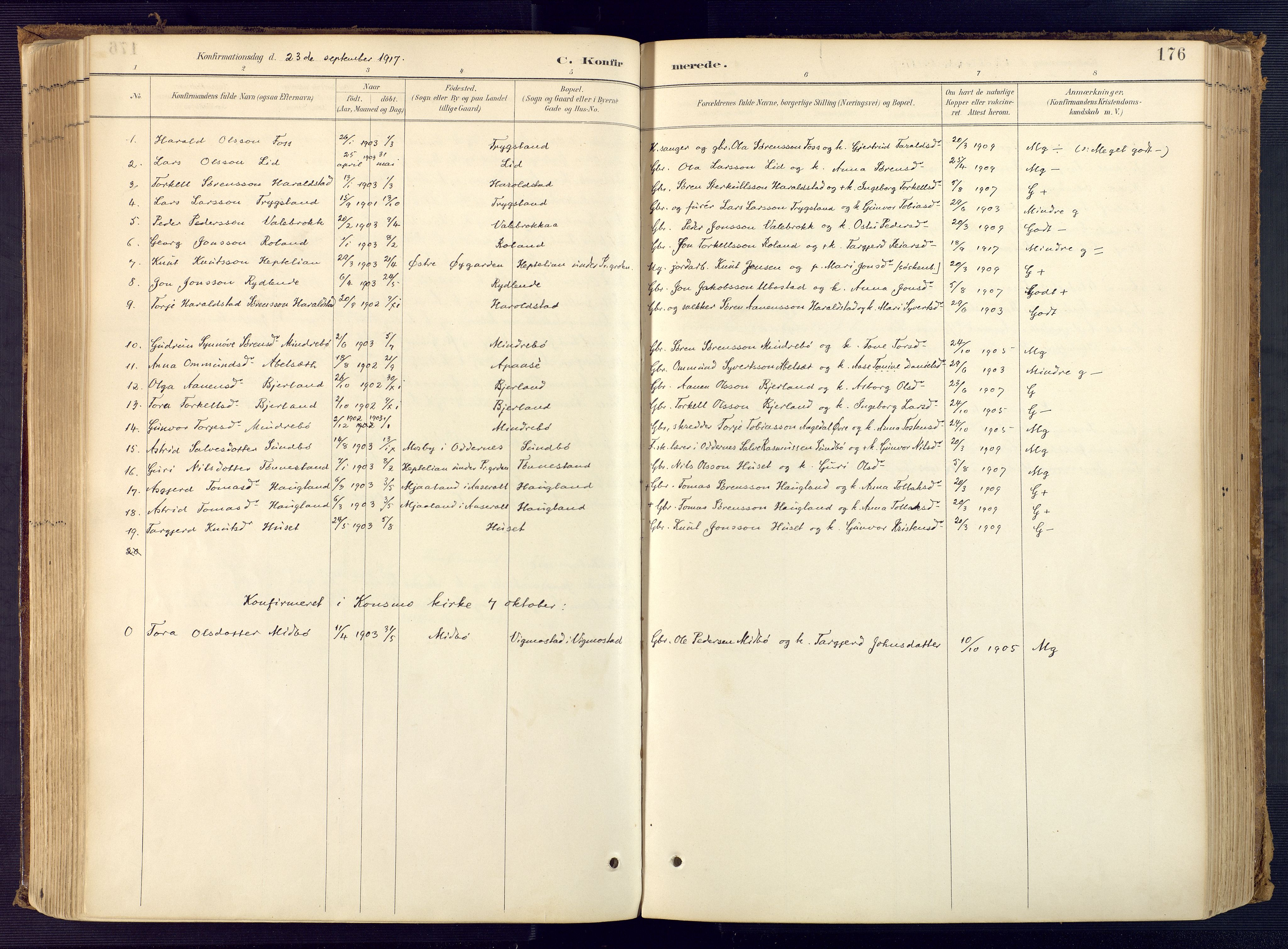 Bjelland sokneprestkontor, SAK/1111-0005/F/Fa/Faa/L0004: Parish register (official) no. A 4, 1887-1923, p. 176