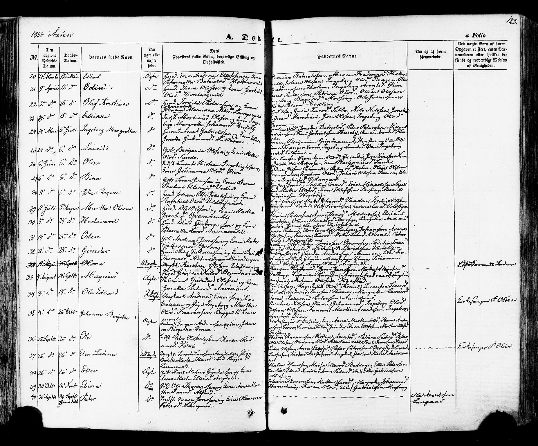 Ministerialprotokoller, klokkerbøker og fødselsregistre - Nord-Trøndelag, SAT/A-1458/713/L0116: Parish register (official) no. 713A07, 1850-1877, p. 123