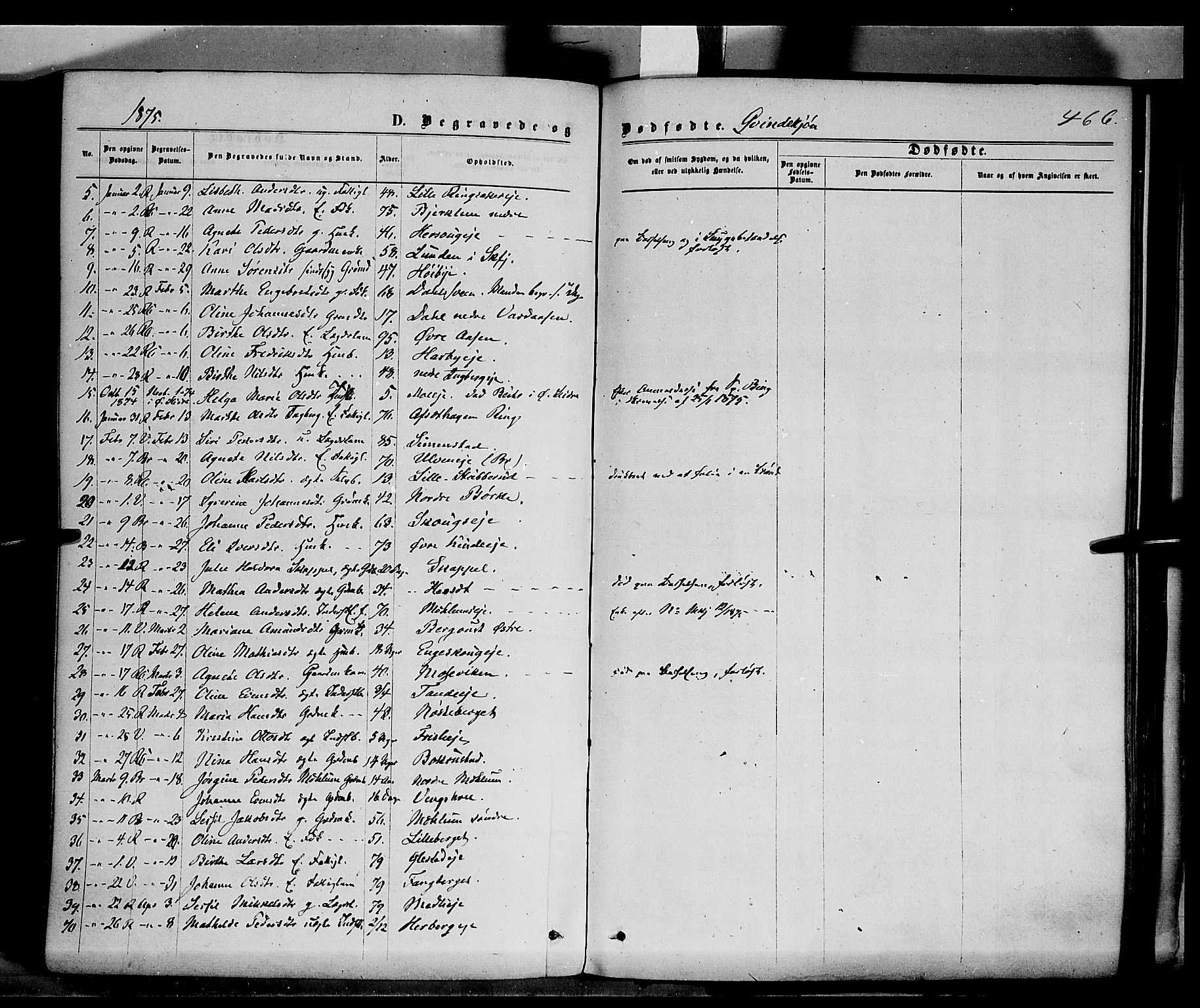 Ringsaker prestekontor, AV/SAH-PREST-014/K/Ka/L0011: Parish register (official) no. 11, 1870-1878, p. 466