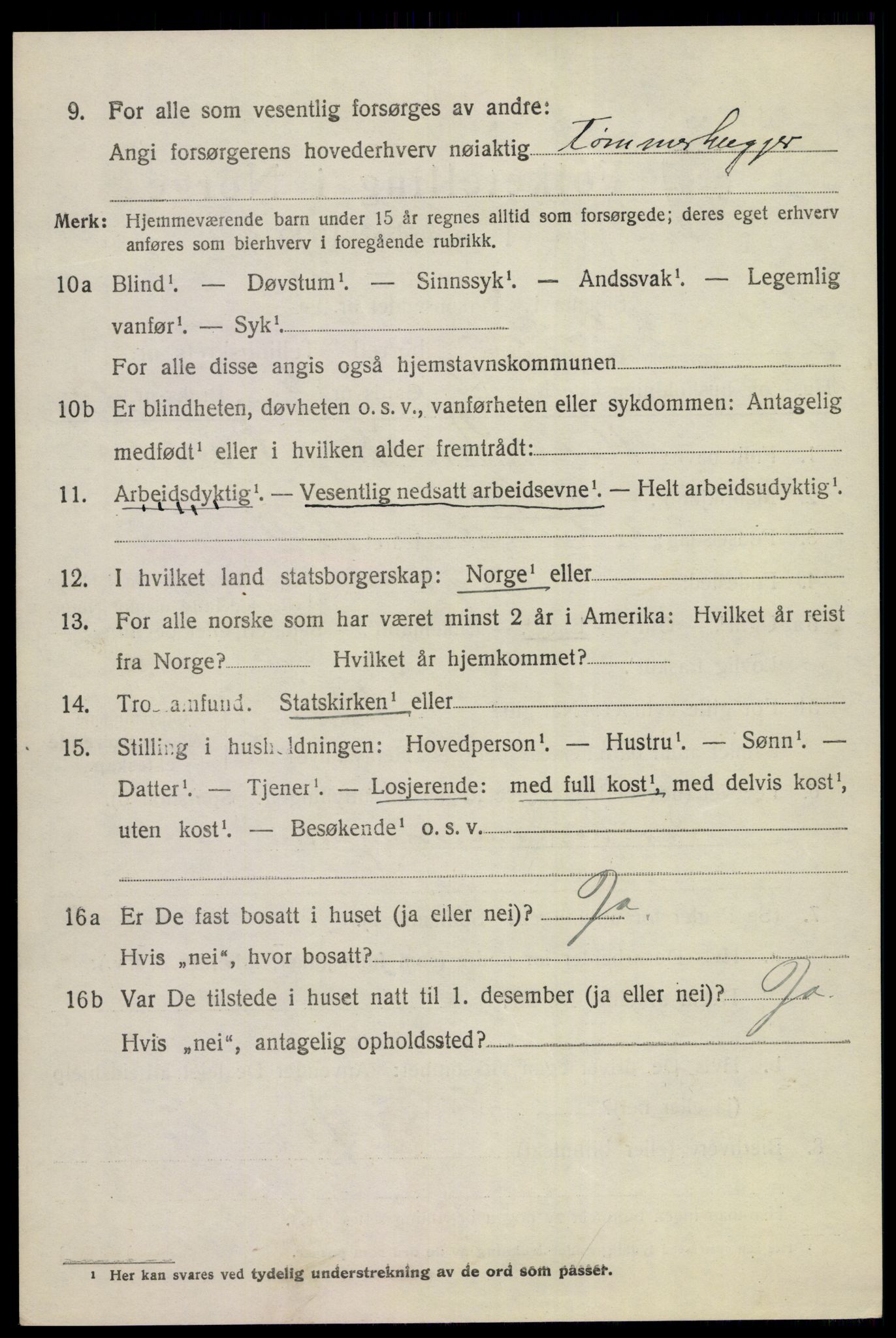 SAKO, 1920 census for Sigdal, 1920, p. 3153