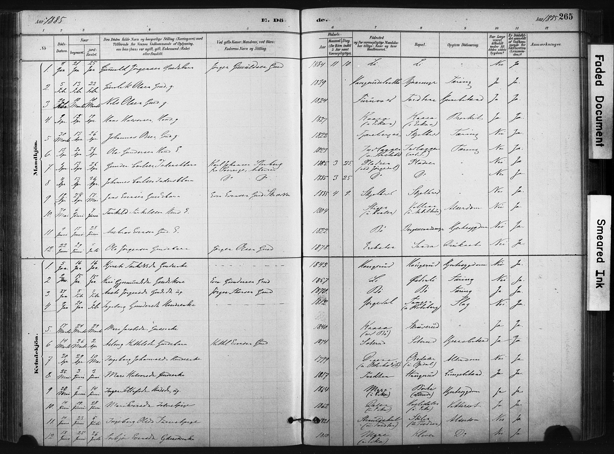 Bø kirkebøker, AV/SAKO-A-257/F/Fa/L0010: Parish register (official) no. 10, 1880-1892, p. 265