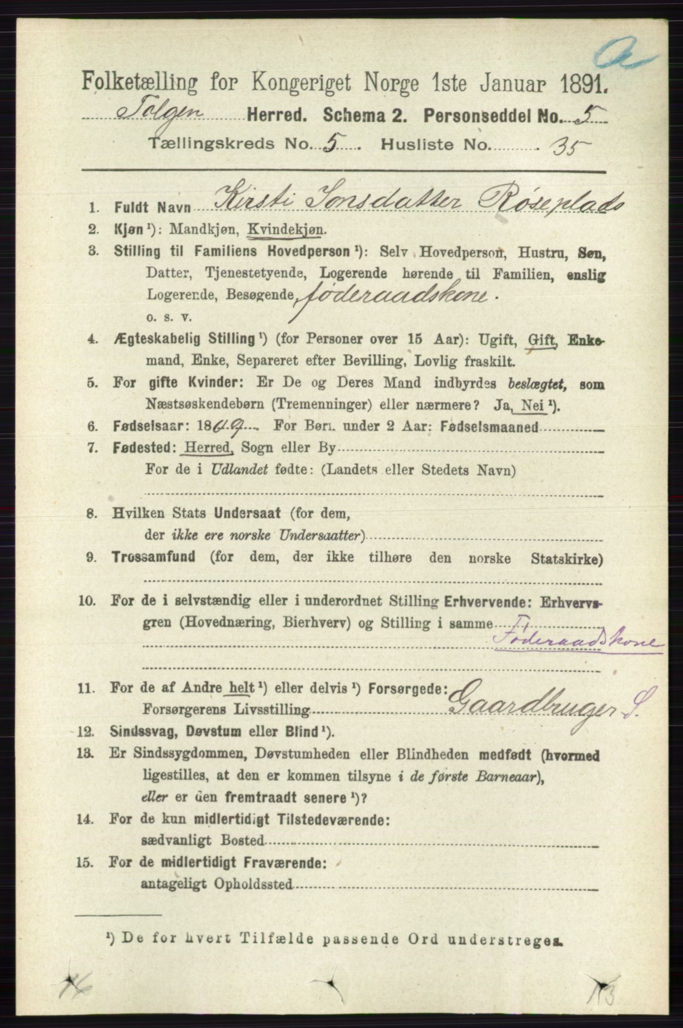 RA, 1891 census for 0436 Tolga, 1891, p. 1521