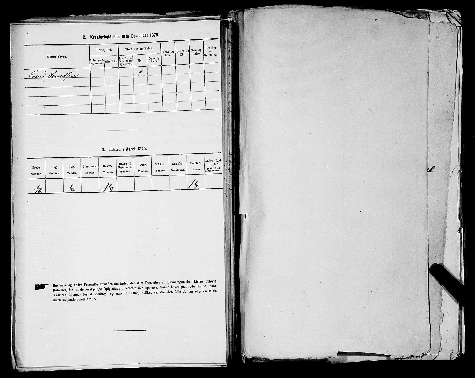 RA, 1875 census for 0137P Våler, 1875, p. 1019
