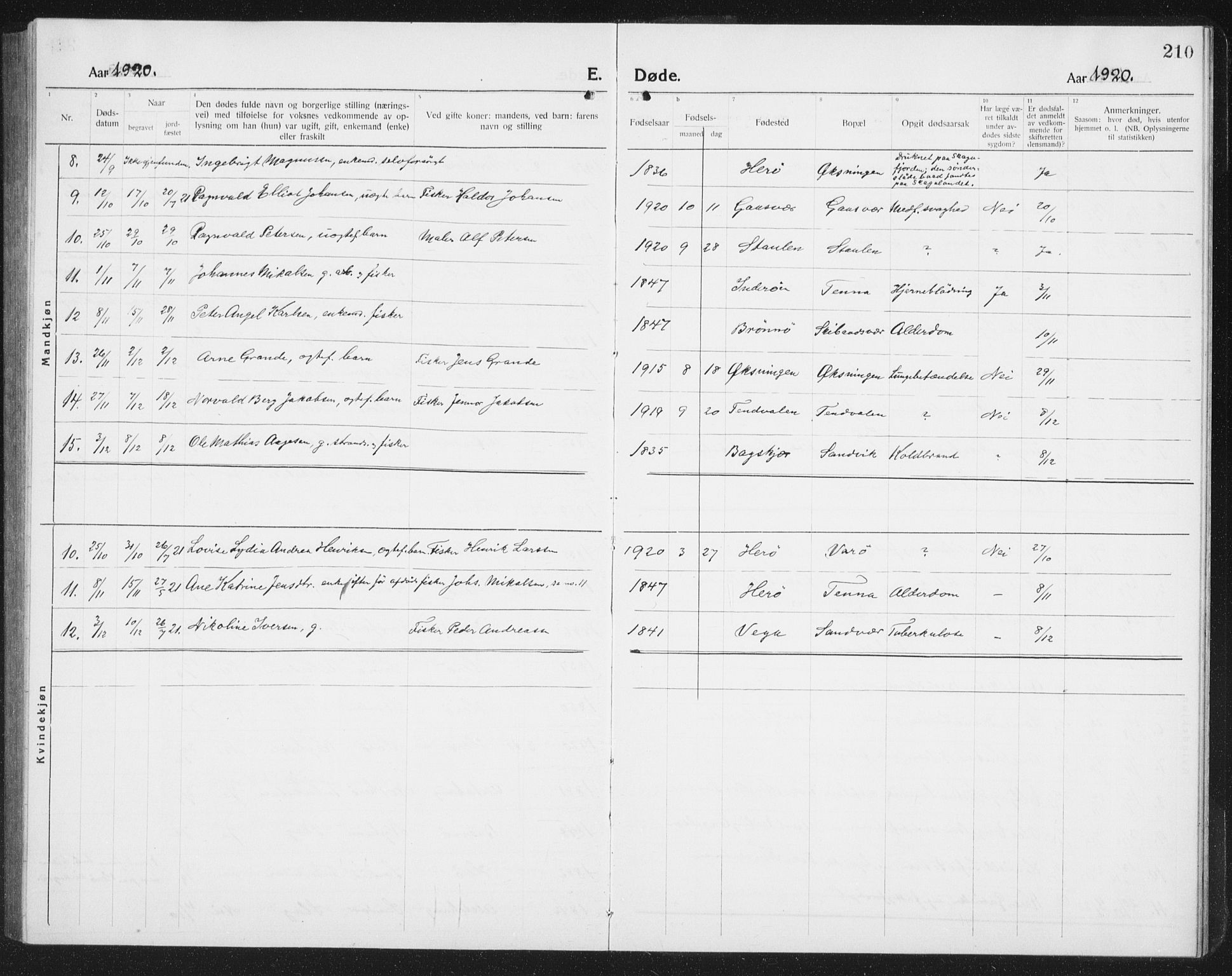 Ministerialprotokoller, klokkerbøker og fødselsregistre - Nordland, AV/SAT-A-1459/834/L0517: Parish register (copy) no. 834C07, 1919-1939, p. 210