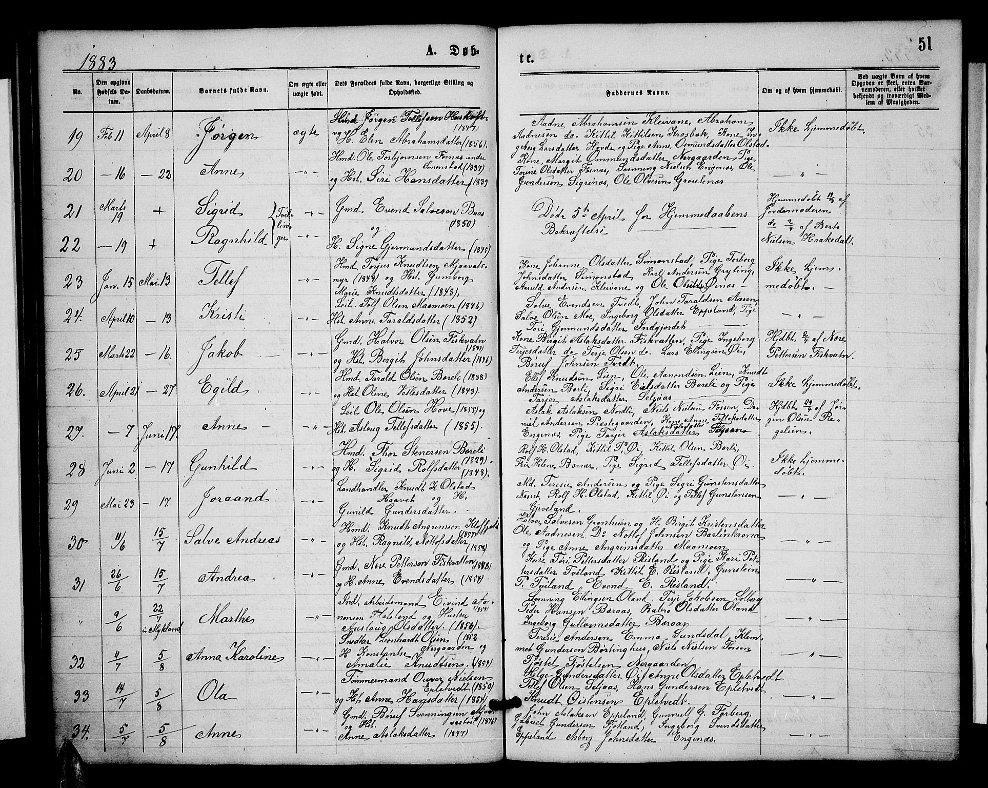 Åmli sokneprestkontor, AV/SAK-1111-0050/F/Fb/Fbc/L0003: Parish register (copy) no. B 3, 1868-1888, p. 51