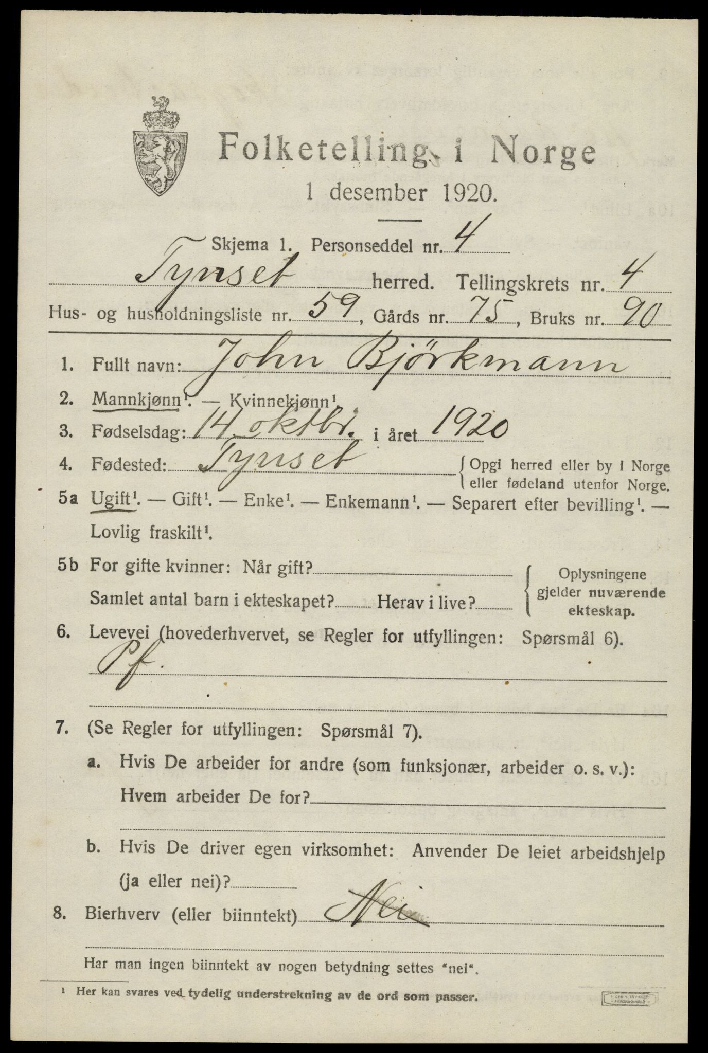 SAH, 1920 census for Tynset, 1920, p. 3956