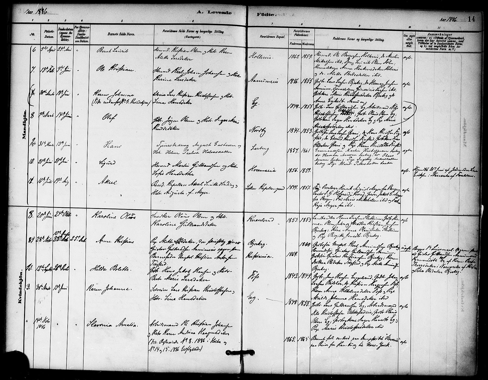 Nannestad prestekontor Kirkebøker, AV/SAO-A-10414a/F/Fb/L0001: Parish register (official) no. II 1, 1881-1890, p. 14