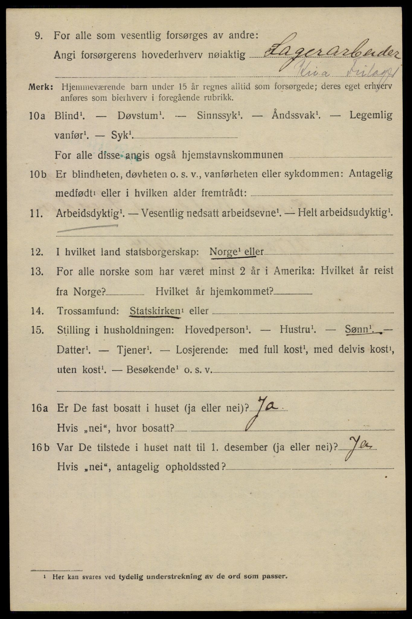 SAO, 1920 census for Aker, 1920, p. 119335