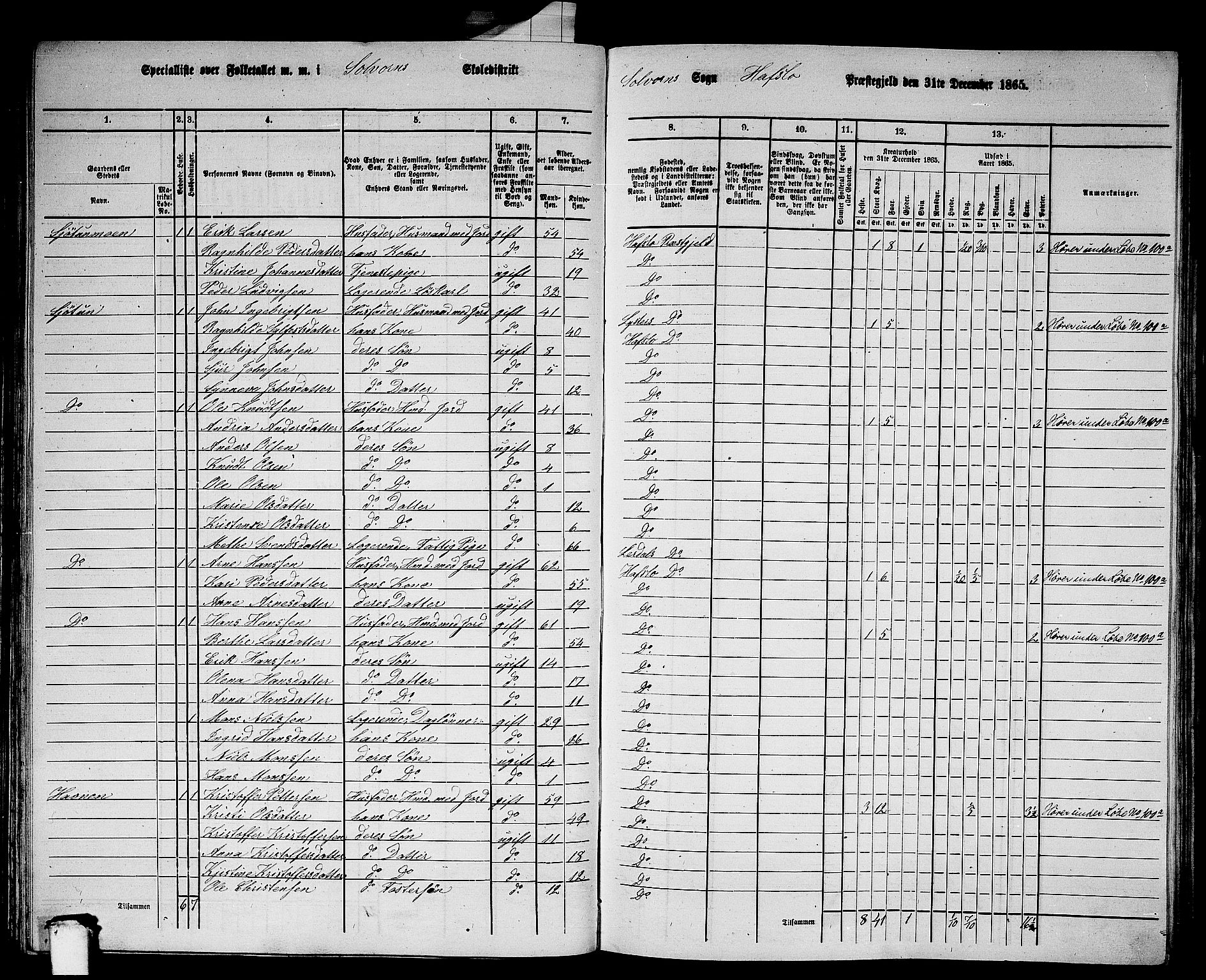 RA, 1865 census for Hafslo, 1865, p. 68