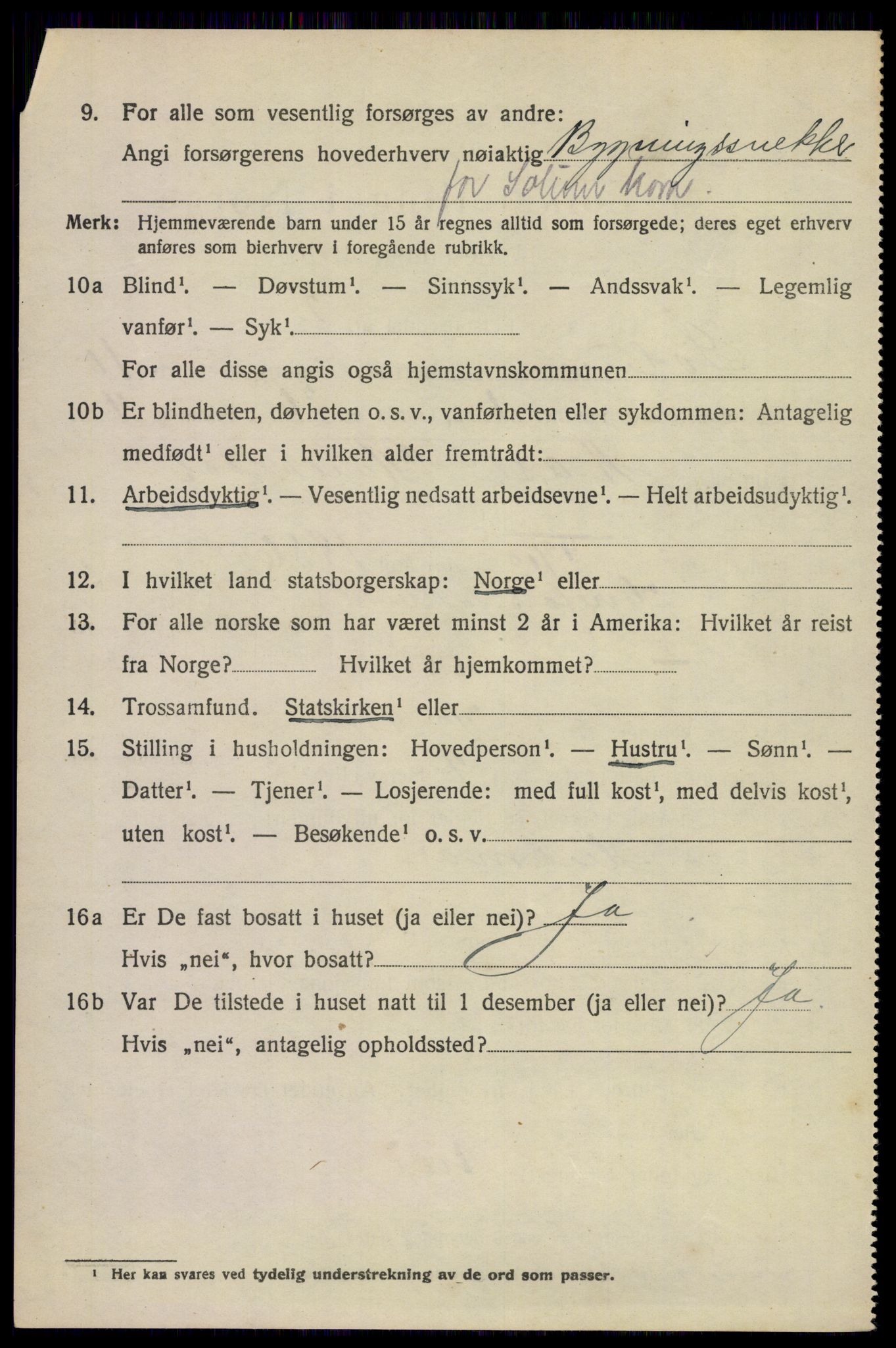 SAKO, 1920 census for Solum, 1920, p. 15339