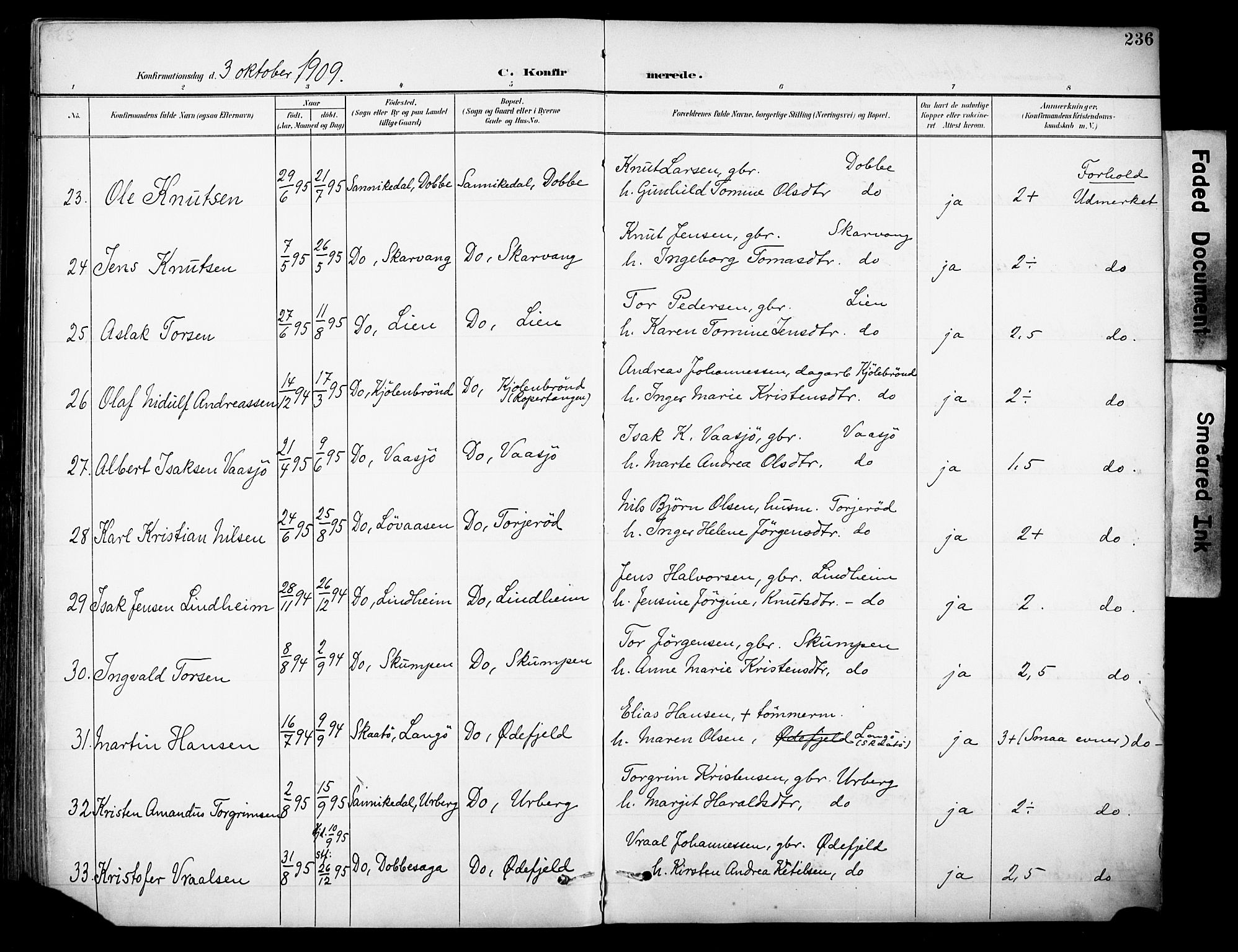 Sannidal kirkebøker, AV/SAKO-A-296/F/Fa/L0016: Parish register (official) no. 16, 1895-1911, p. 236