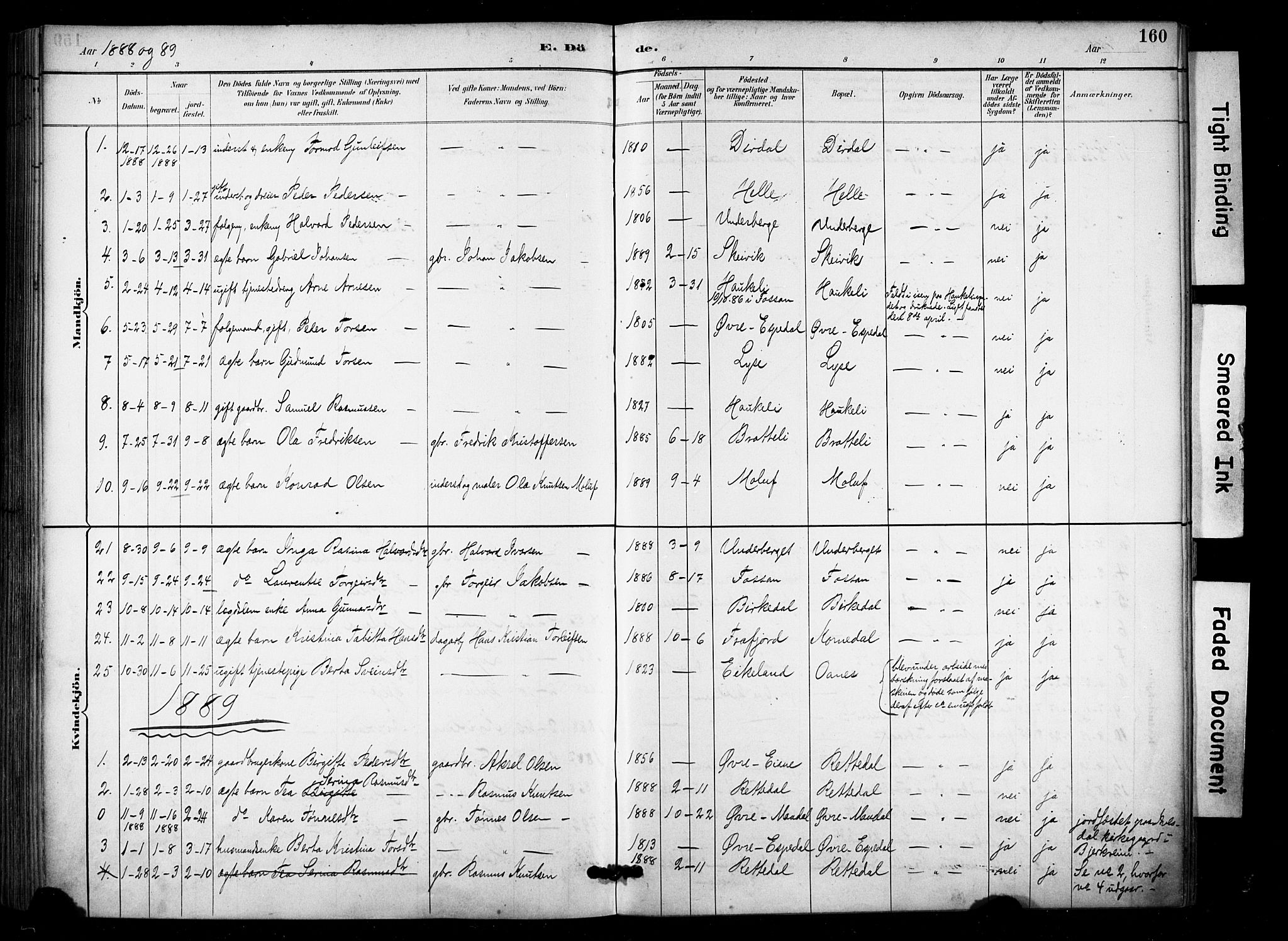 Høgsfjord sokneprestkontor, AV/SAST-A-101624/H/Ha/Haa/L0006: Parish register (official) no. A 6, 1885-1897, p. 160