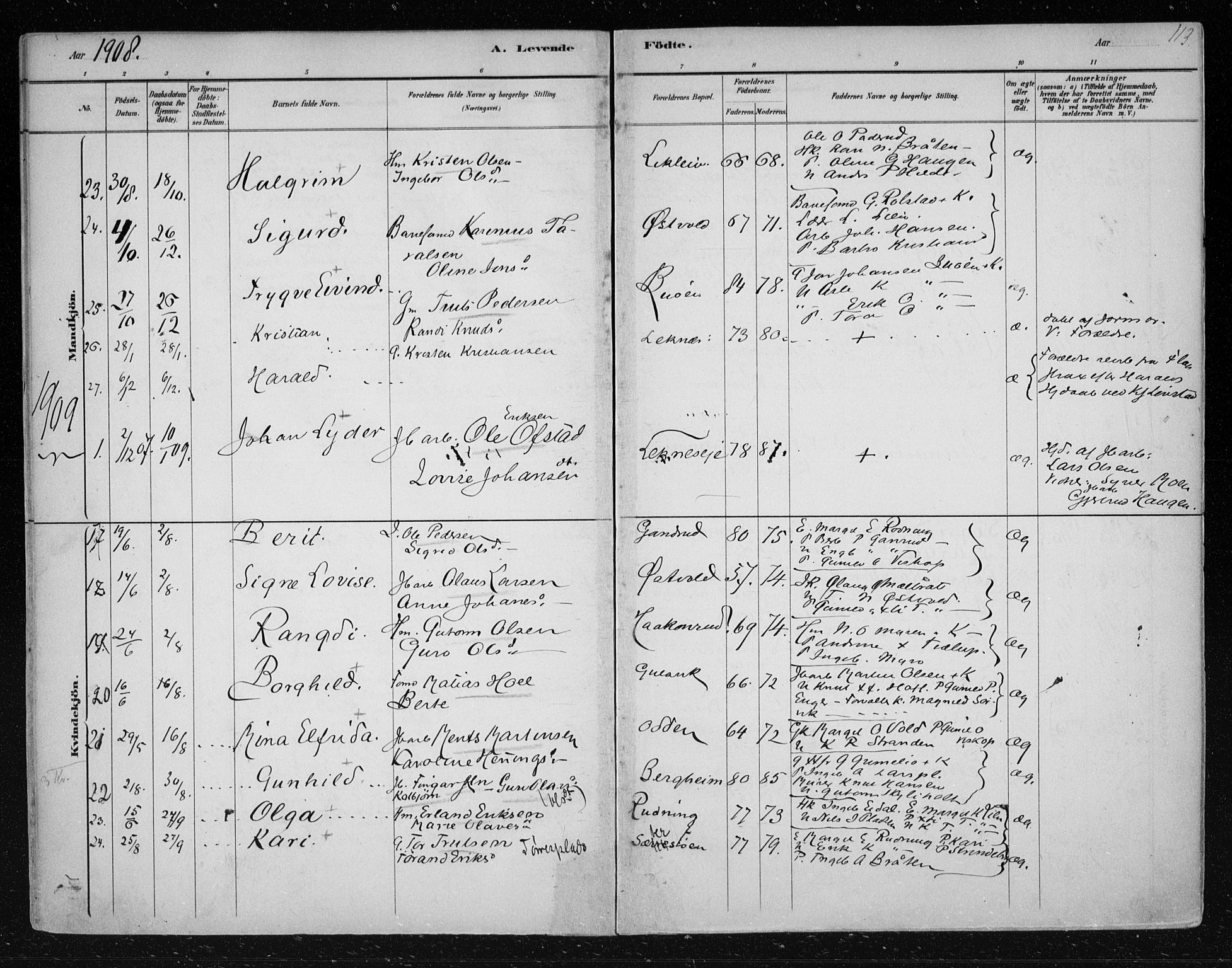 Nes kirkebøker, SAKO/A-236/F/Fa/L0012: Parish register (official) no. 12, 1881-1917, p. 113