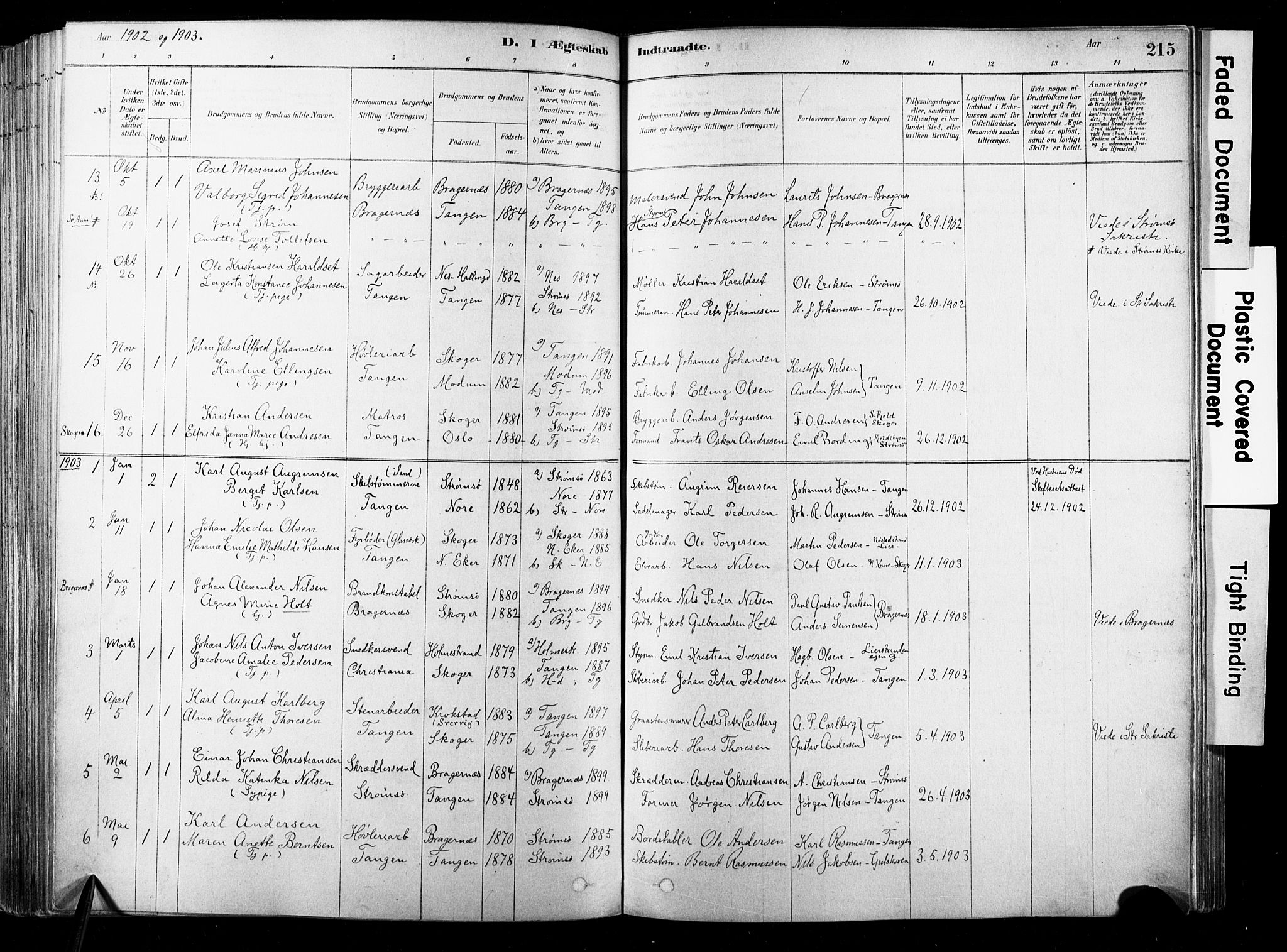 Strømsø kirkebøker, SAKO/A-246/F/Fb/L0006: Parish register (official) no. II 6, 1879-1910, p. 215