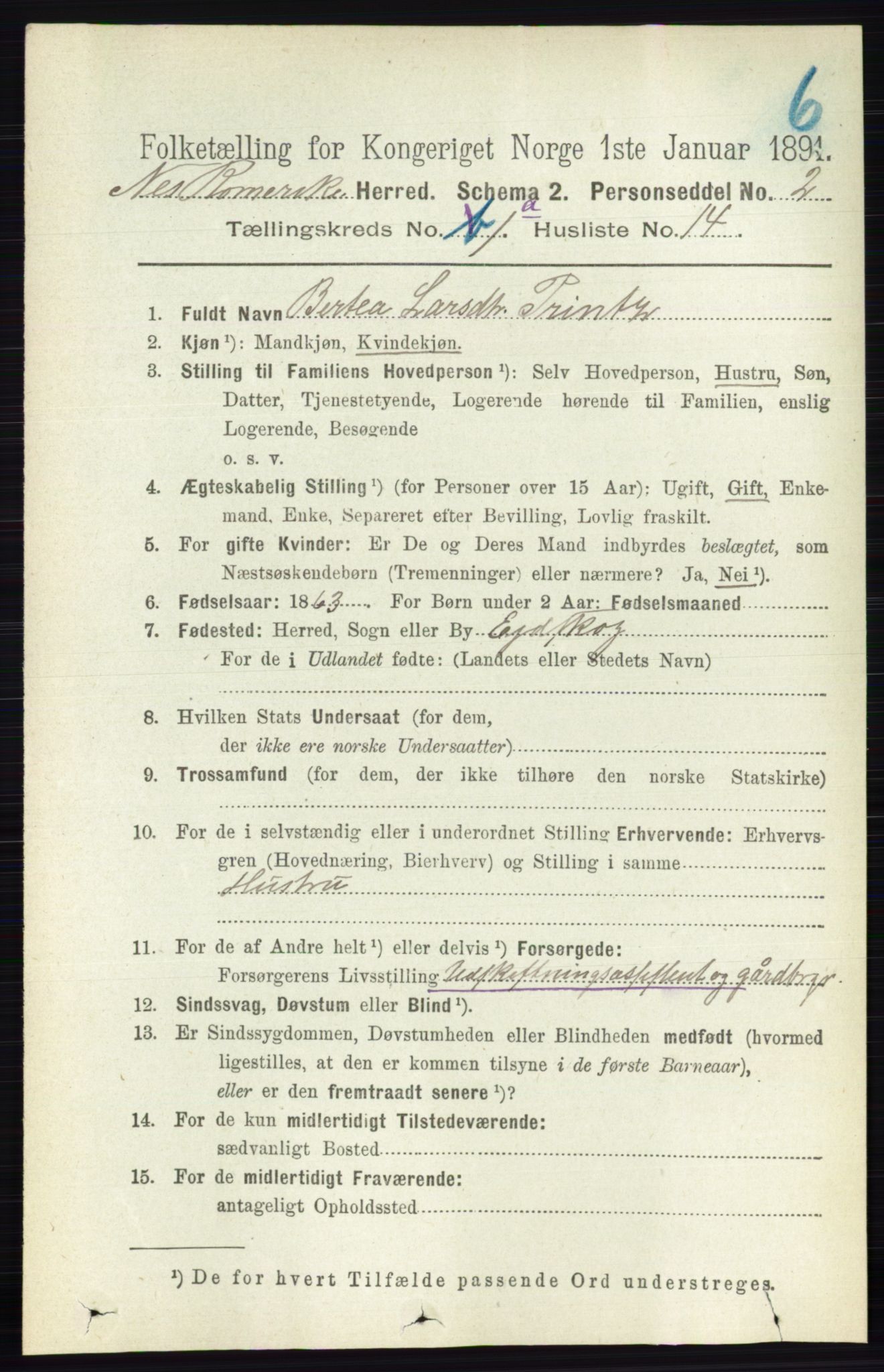 RA, 1891 census for 0236 Nes, 1891, p. 201