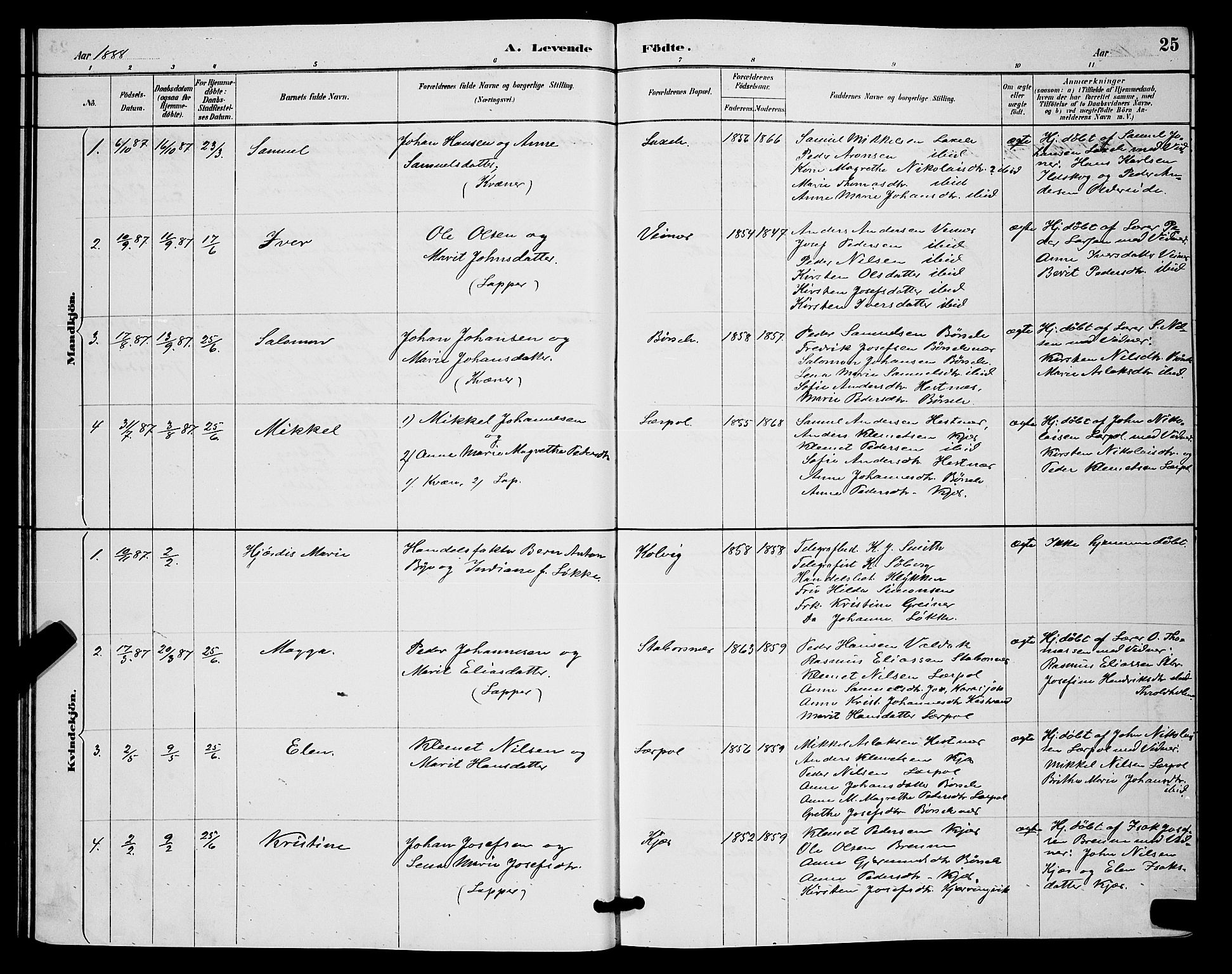 Kistrand/Porsanger sokneprestembete, AV/SATØ-S-1351/H/Hb/L0004.klokk: Parish register (copy) no. 4, 1885-1894, p. 25