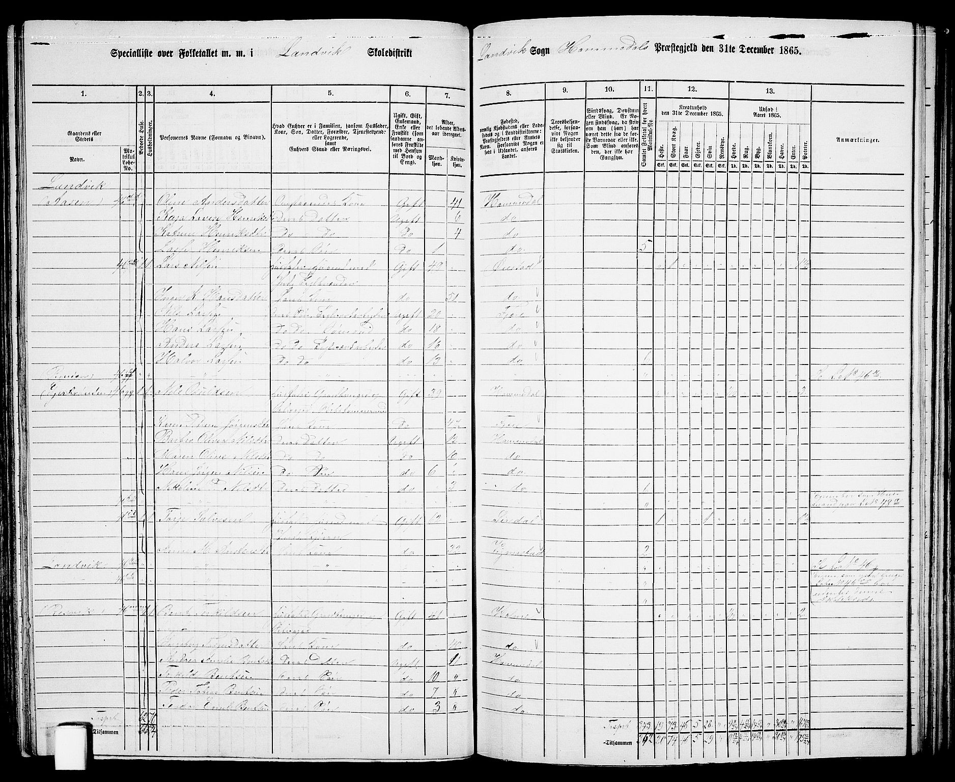 RA, 1865 census for Homedal, 1865, p. 89