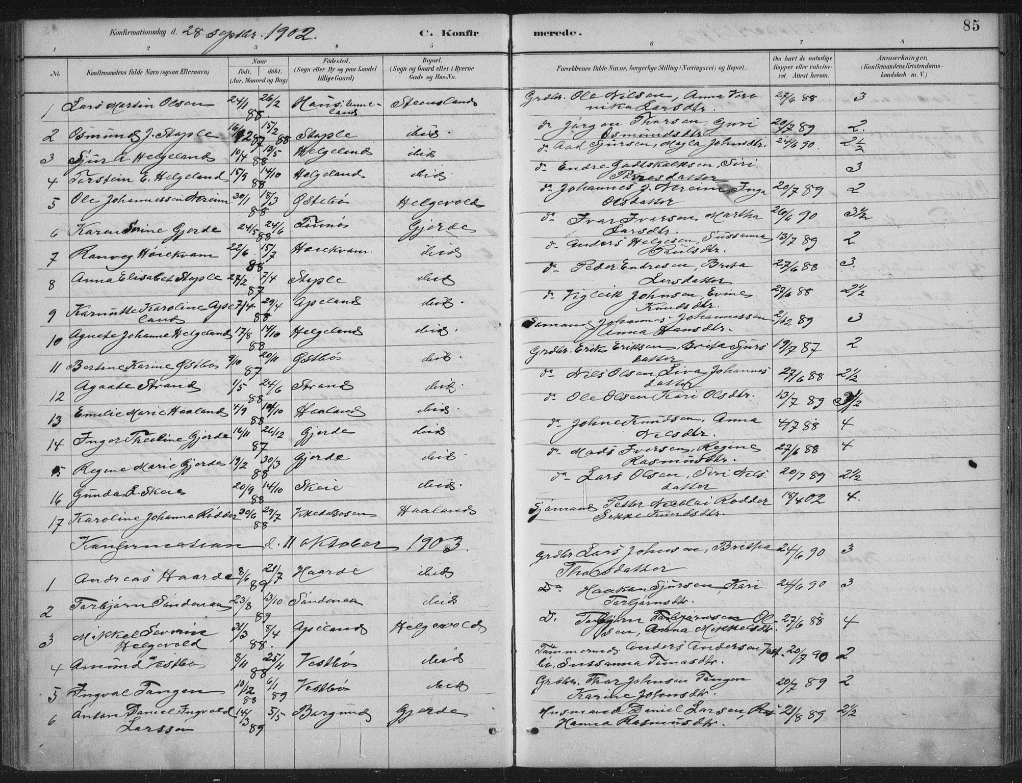 Vikedal sokneprestkontor, AV/SAST-A-101840/01/IV: Parish register (official) no. A 11, 1884-1933, p. 85