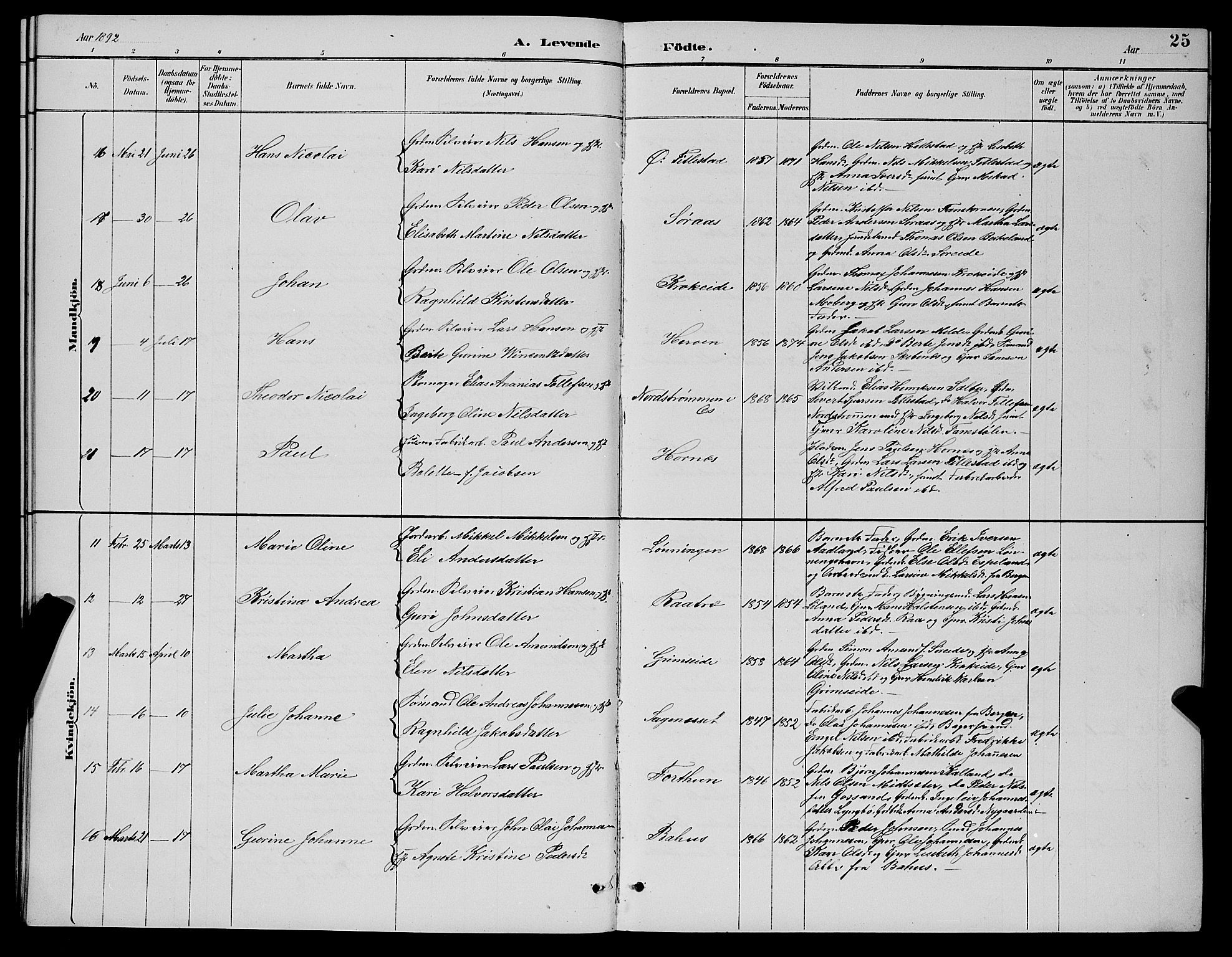 Fana Sokneprestembete, AV/SAB-A-75101/H/Hab/Haba/L0002: Parish register (copy) no. A 2, 1889-1895, p. 25