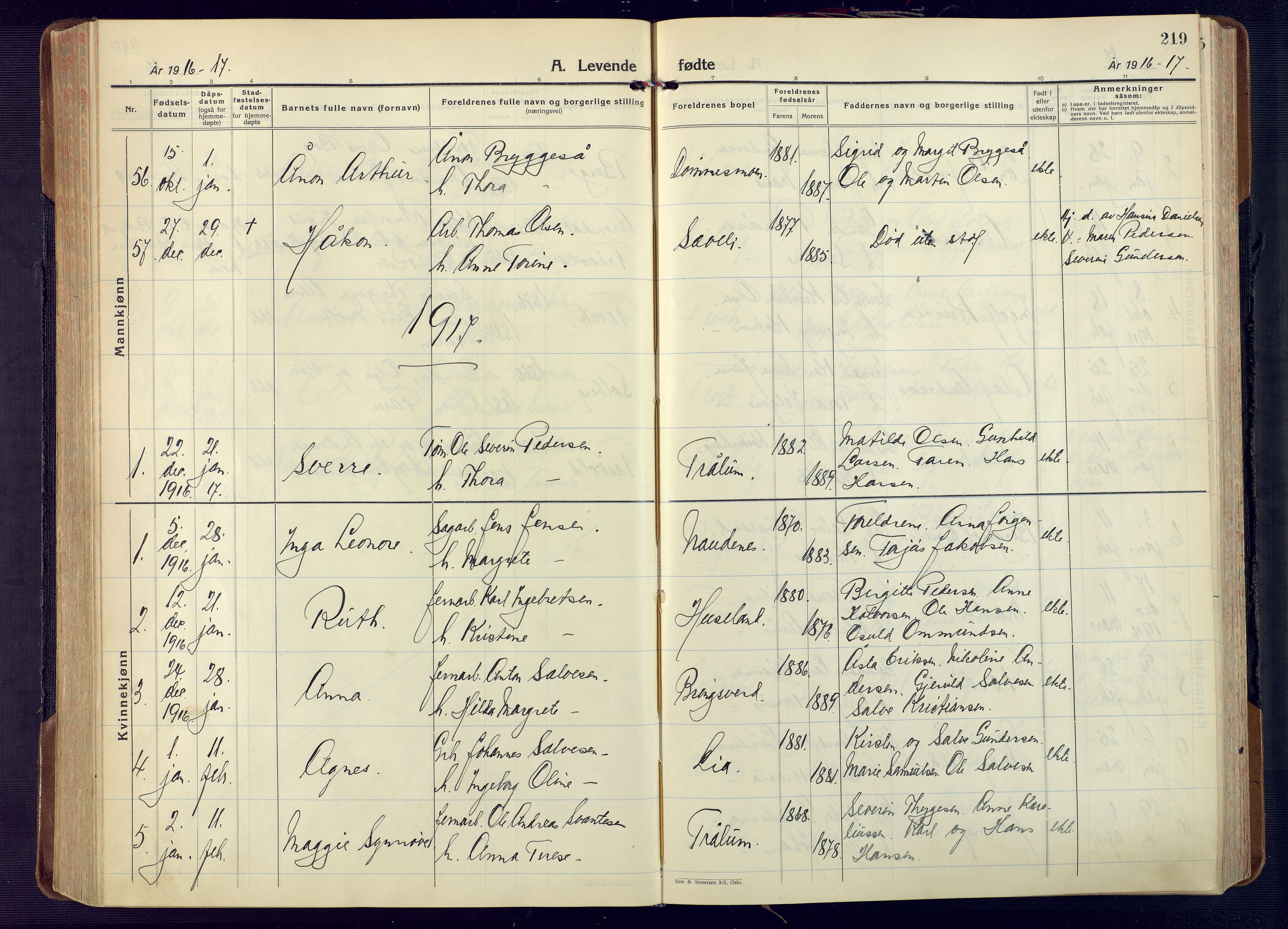 Fjære sokneprestkontor, SAK/1111-0011/F/Fa/L0004: Parish register (official) no. A 4, 1902-1925, p. 219