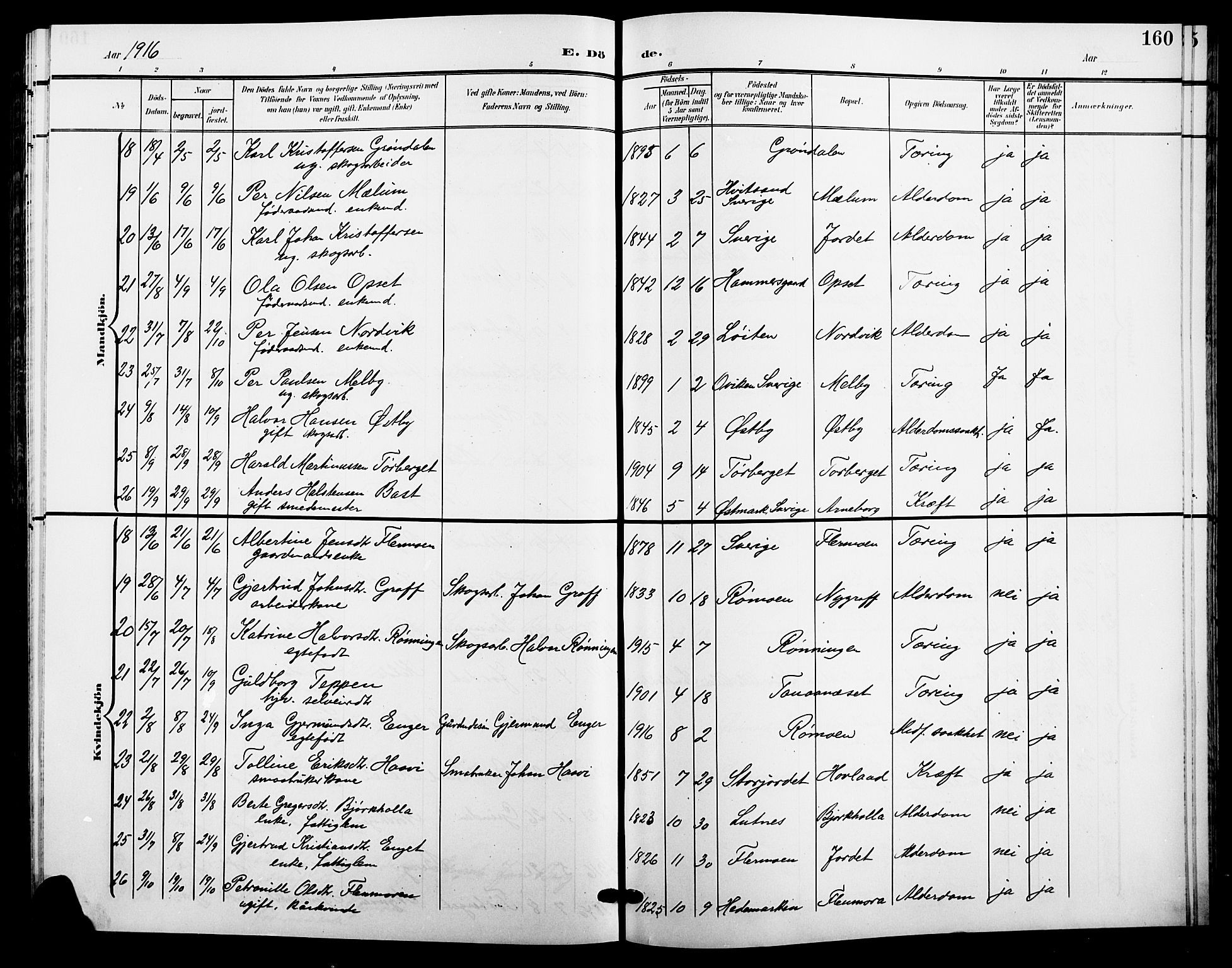 Trysil prestekontor, AV/SAH-PREST-046/H/Ha/Hab/L0009: Parish register (copy) no. 9, 1904-1924, p. 160