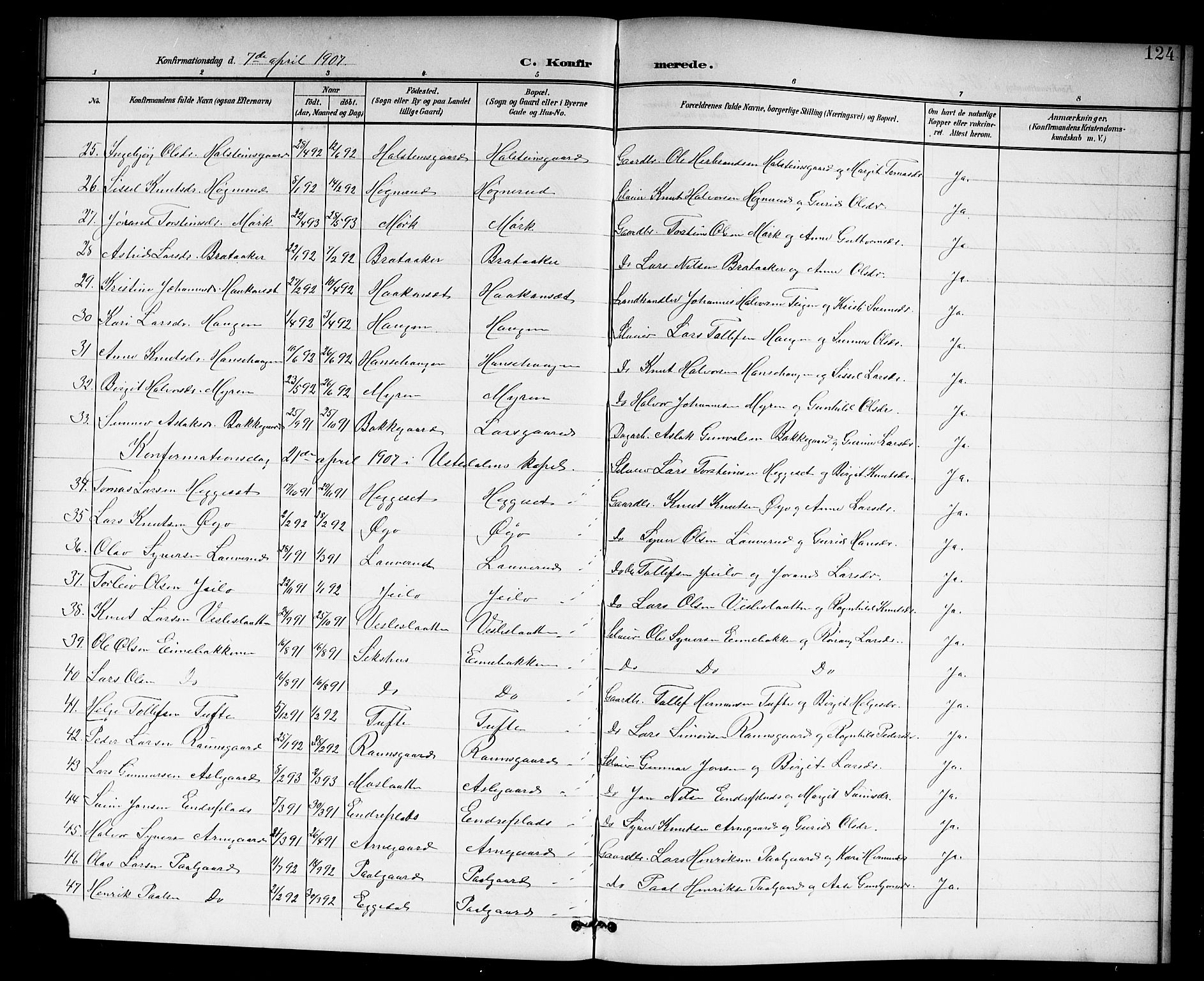 Hol kirkebøker, AV/SAKO-A-227/G/Ga/L0001: Parish register (copy) no. I 1, 1900-1919, p. 124