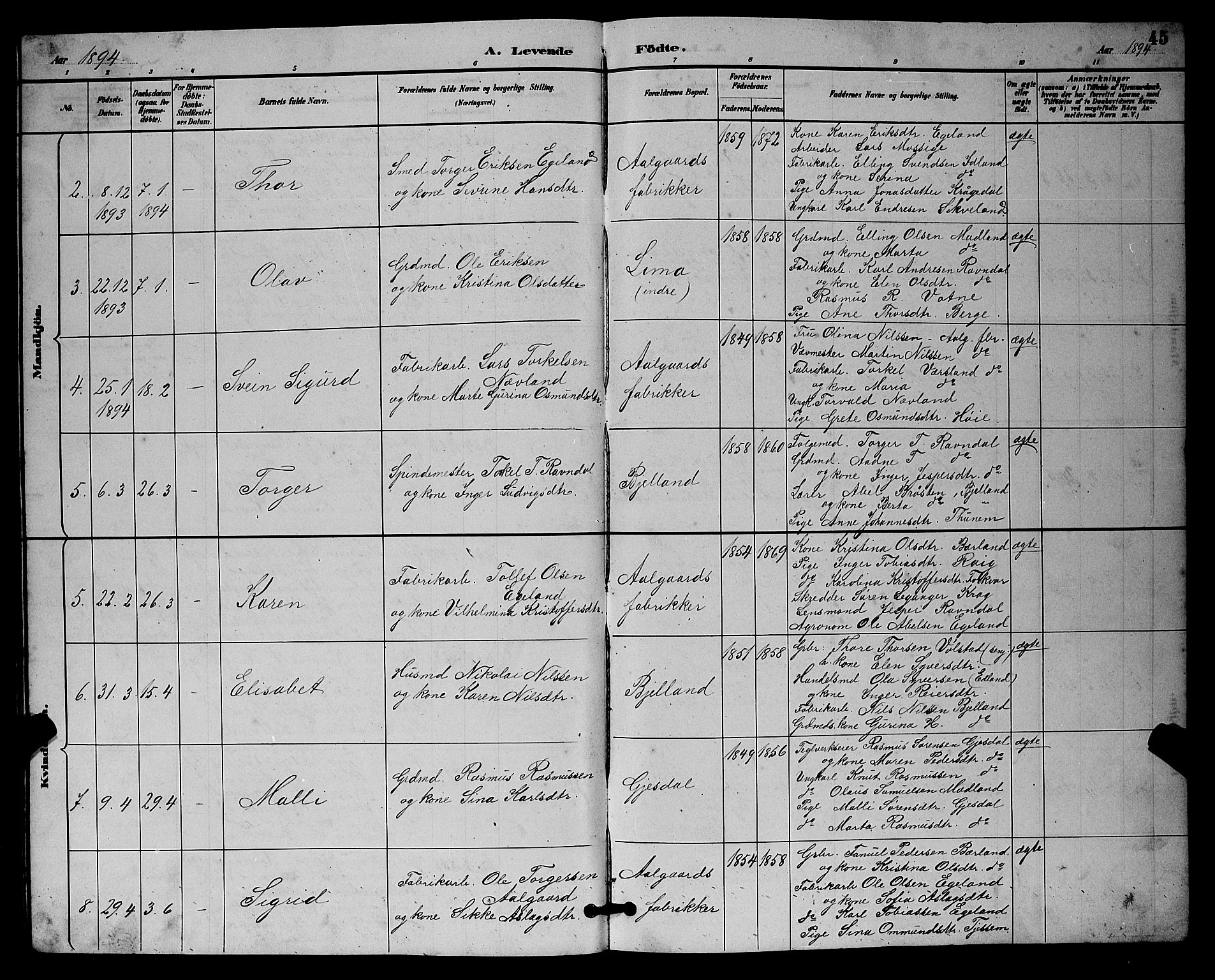 Lye sokneprestkontor, AV/SAST-A-101794/001/30BB/L0008: Parish register (copy) no. B 7, 1887-1901, p. 45