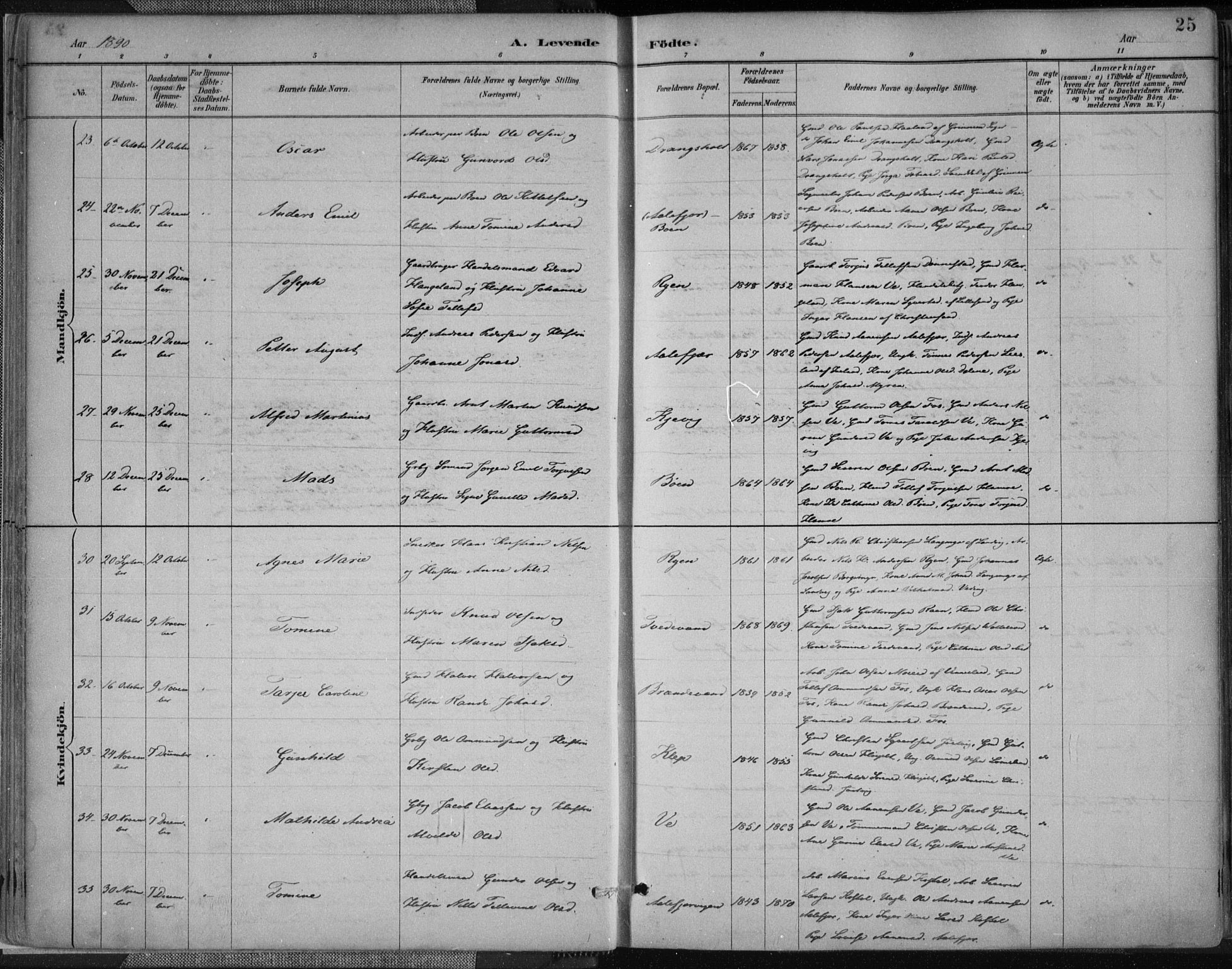 Tveit sokneprestkontor, AV/SAK-1111-0043/F/Fa/L0007: Parish register (official) no. A 7, 1887-1908, p. 25