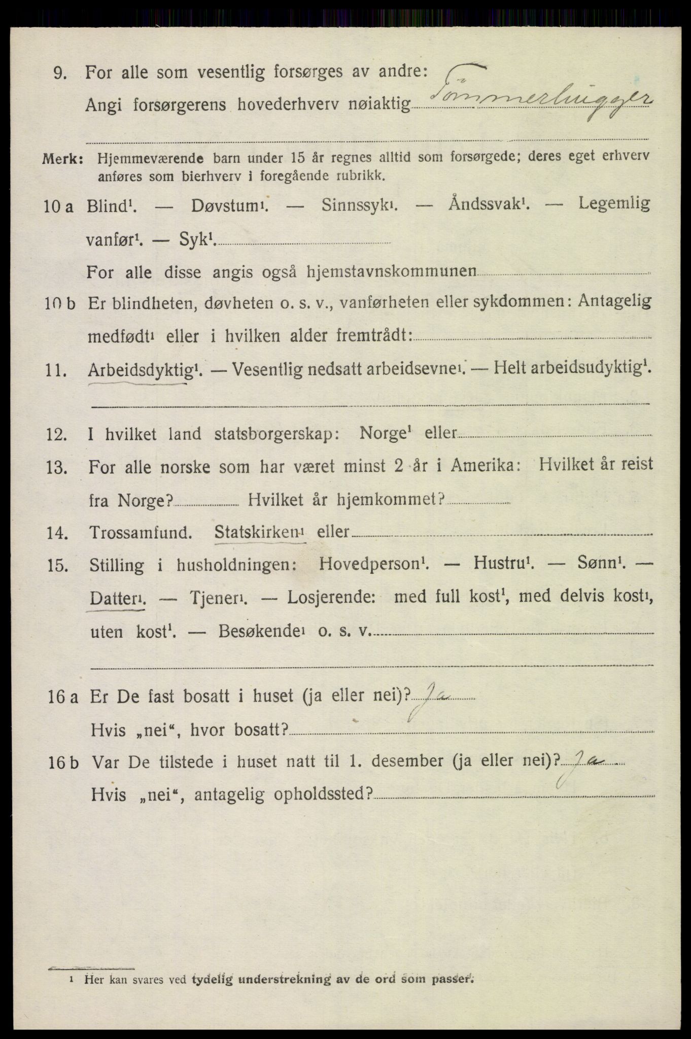 SAH, 1920 census for Åsnes, 1920, p. 9119