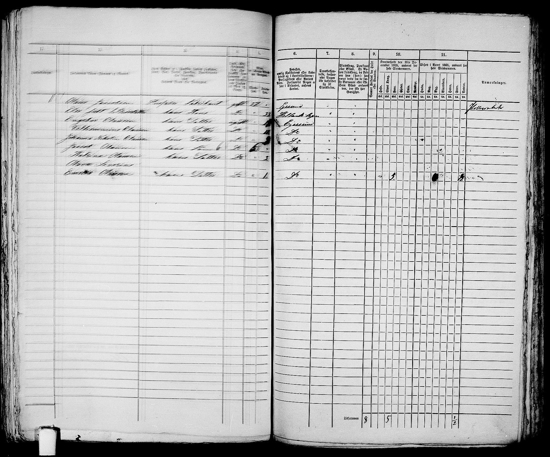 RA, 1865 census for Eigersund parish, Egersund town, 1865, p. 421